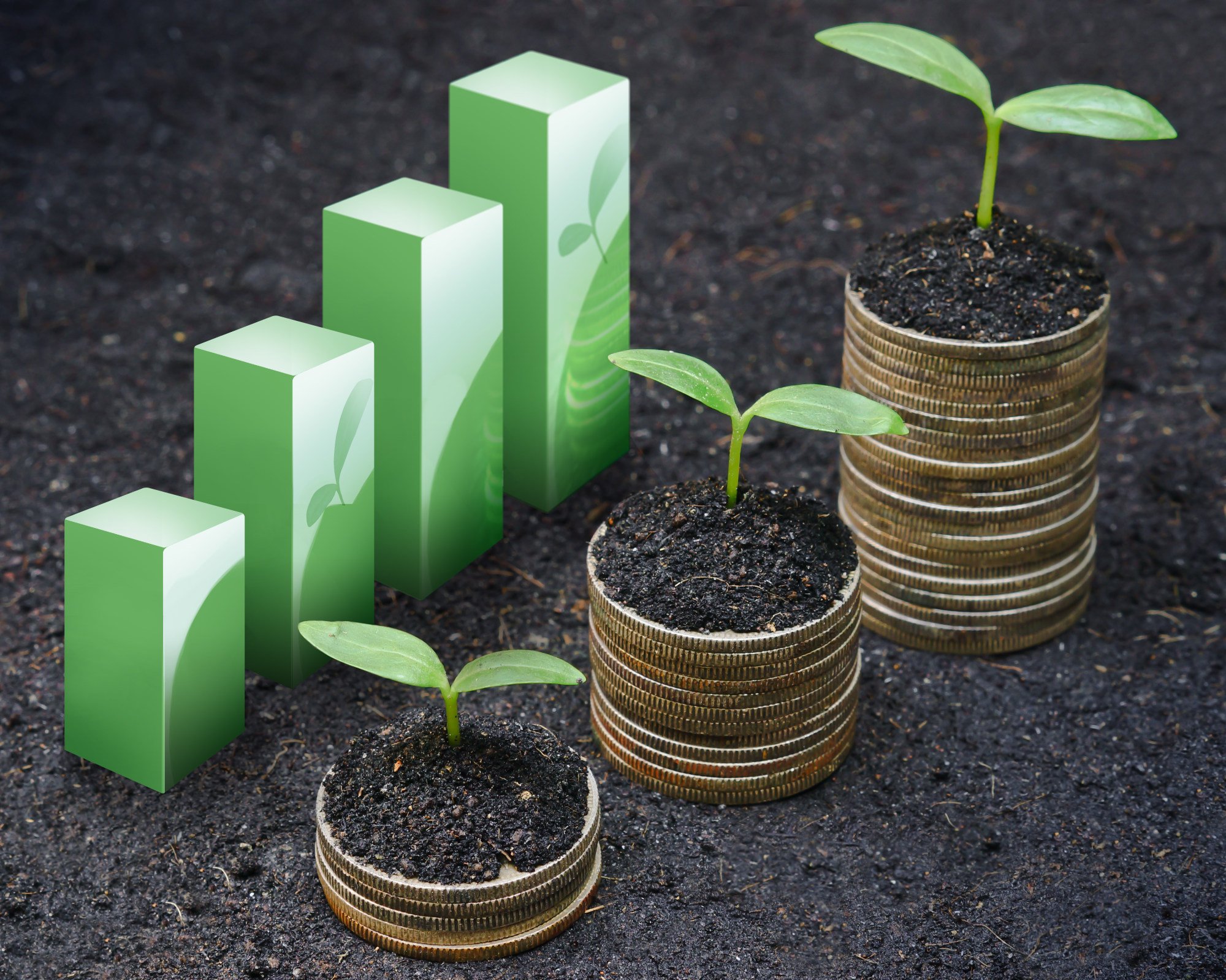China s Greater Bay Area To Lead Sustainable Finance Meet Capital china-s-greater-bay-area-to-lead-sustainable-finance-meet-capital