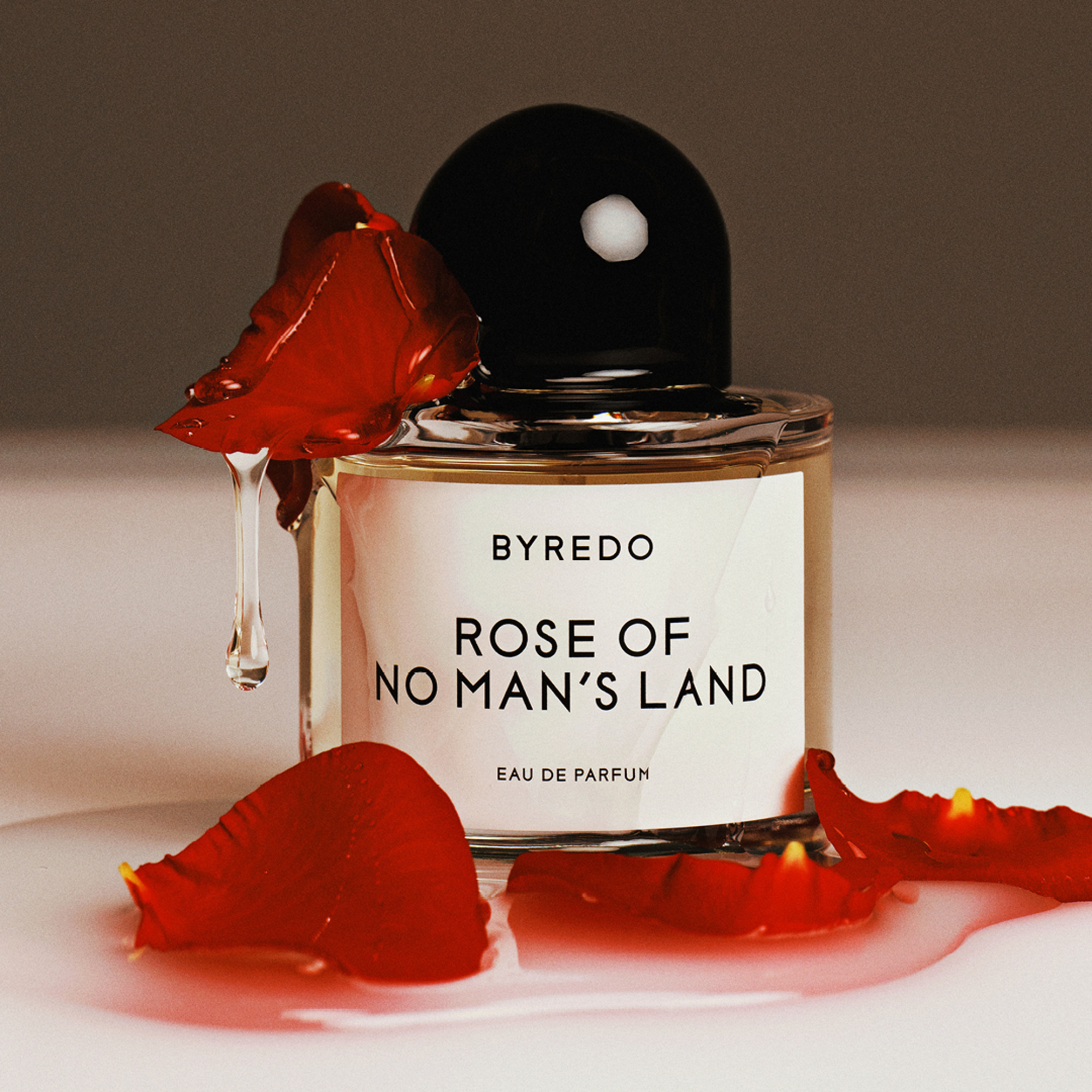 BYREDO Rose of No Man´s Land-
