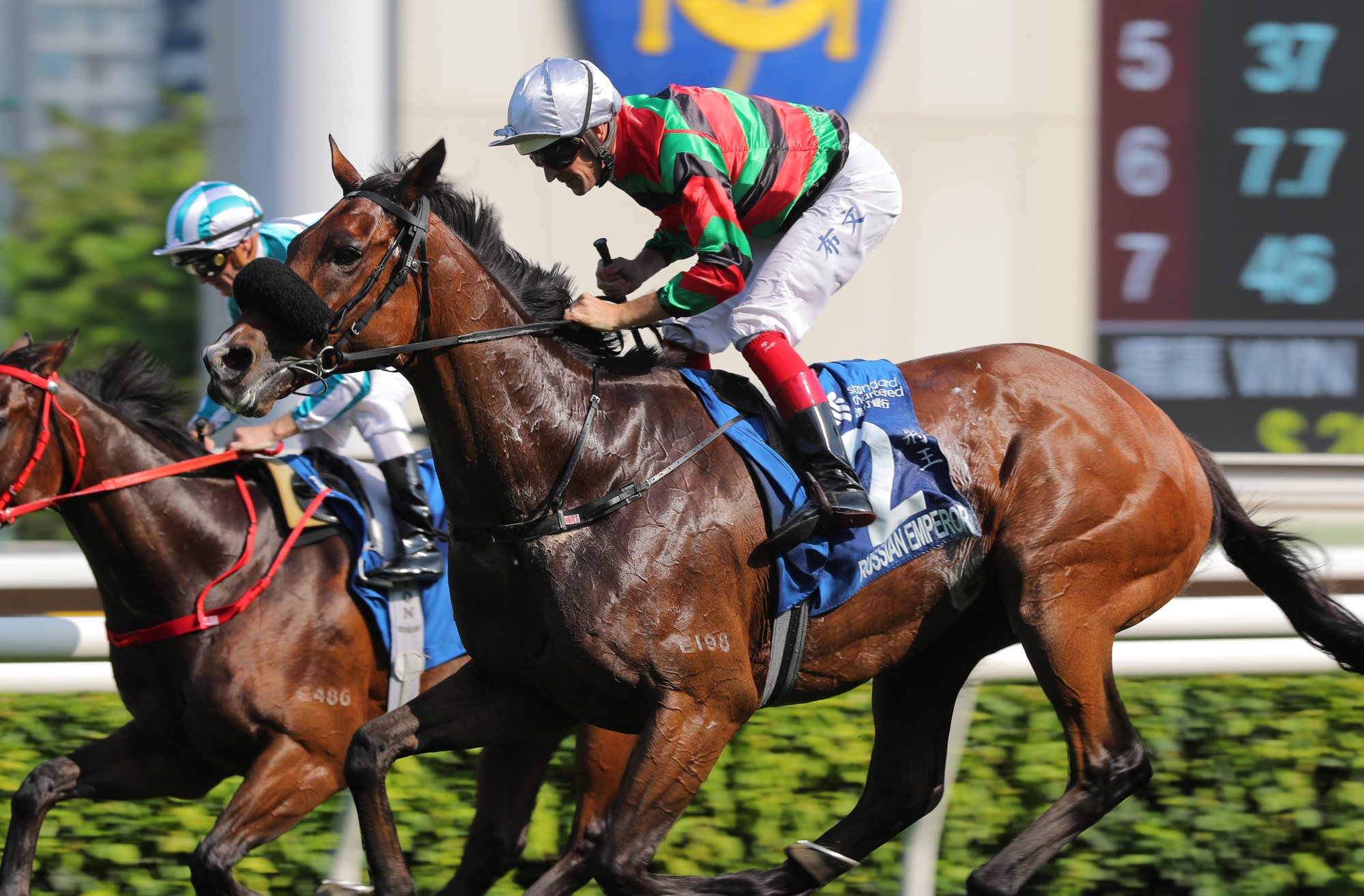 Russian Emperor wins the Champions & Chater Cup under Australian jockey Hugh Bowman.