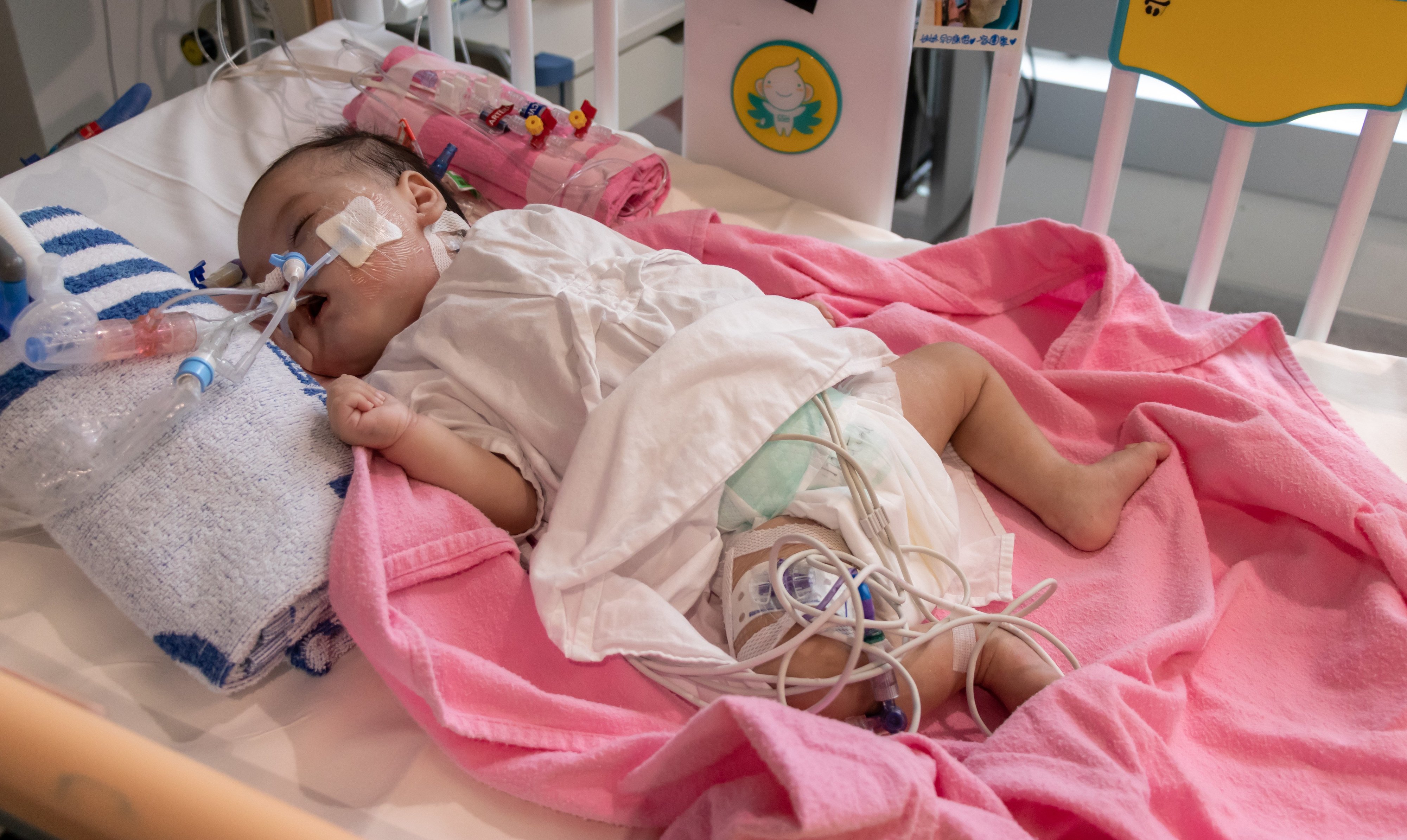 Little Cleo Lai, whose life was saved by a heart from across the border with mainland China. Photo: Hong Kong Children’s Hospital