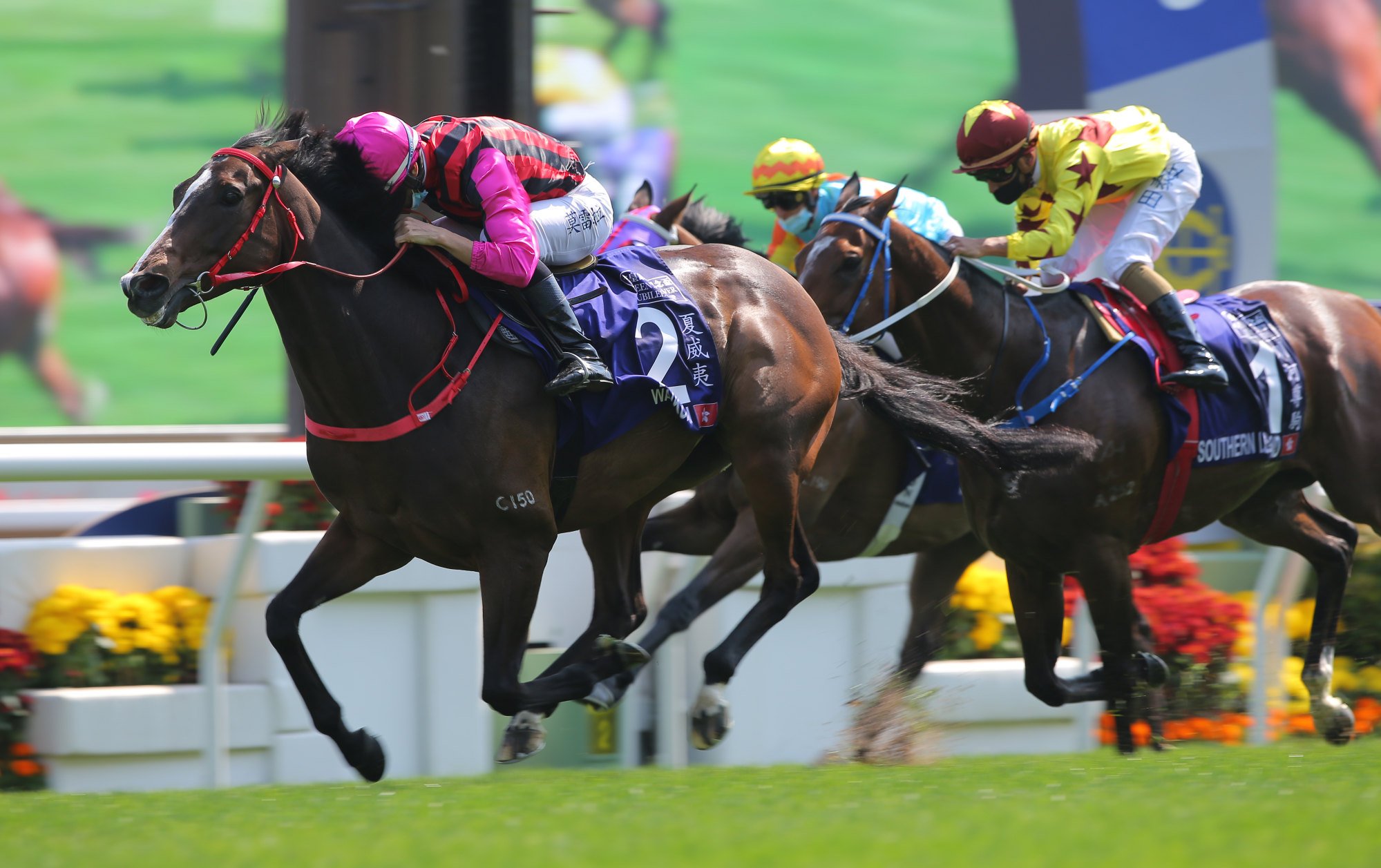 Waikuku wins the 2021 Queen’s Silver Jubilee Cup under Joao Moreira.