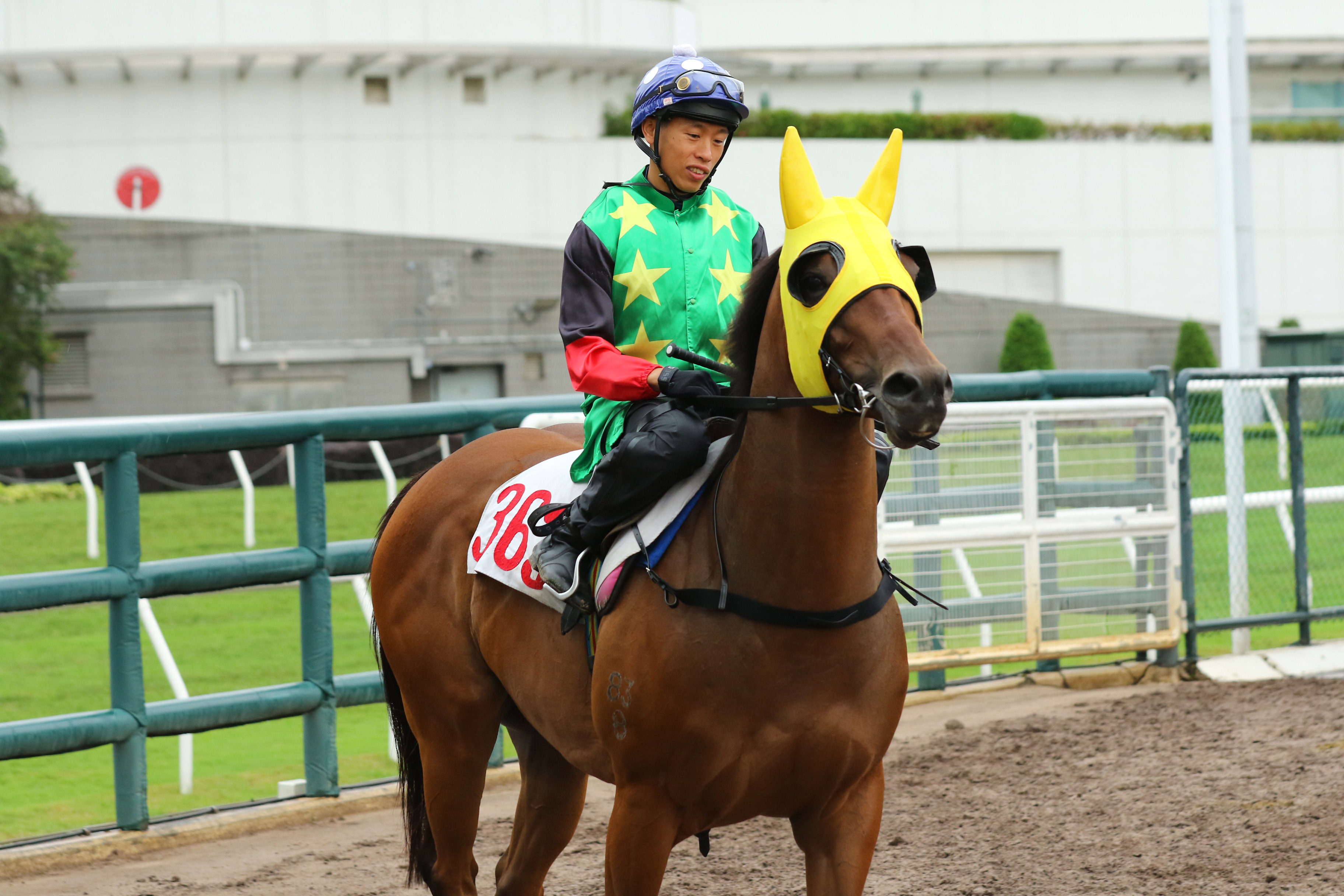Vincent Ho prepares to ride Cordyceps Six in his Sha Tin barrier trial on May 23. Photo: Kenneth Chan