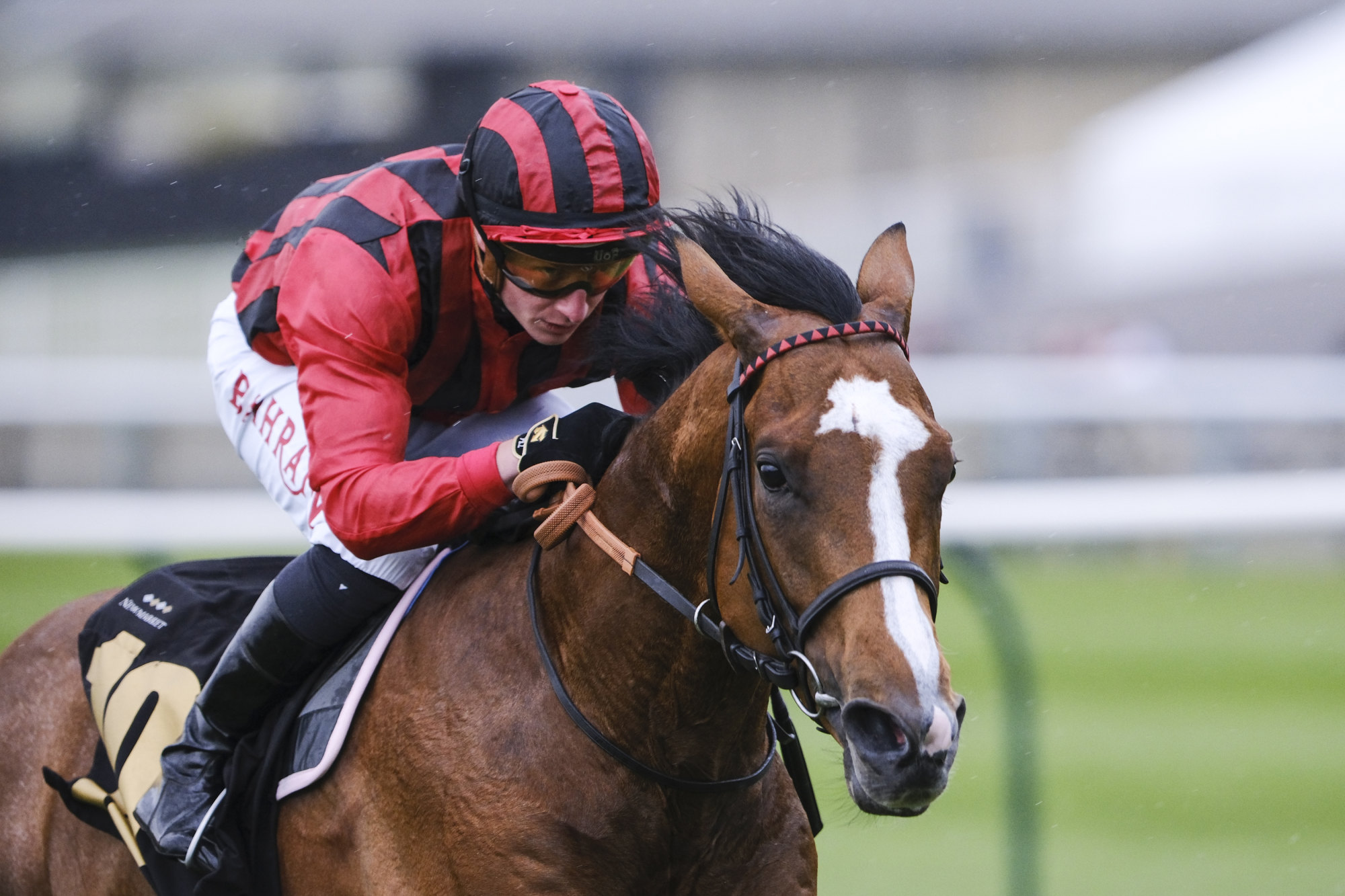 Waipiro salutes under Tom Marquand. Photo: Jockey Club/John Hoy