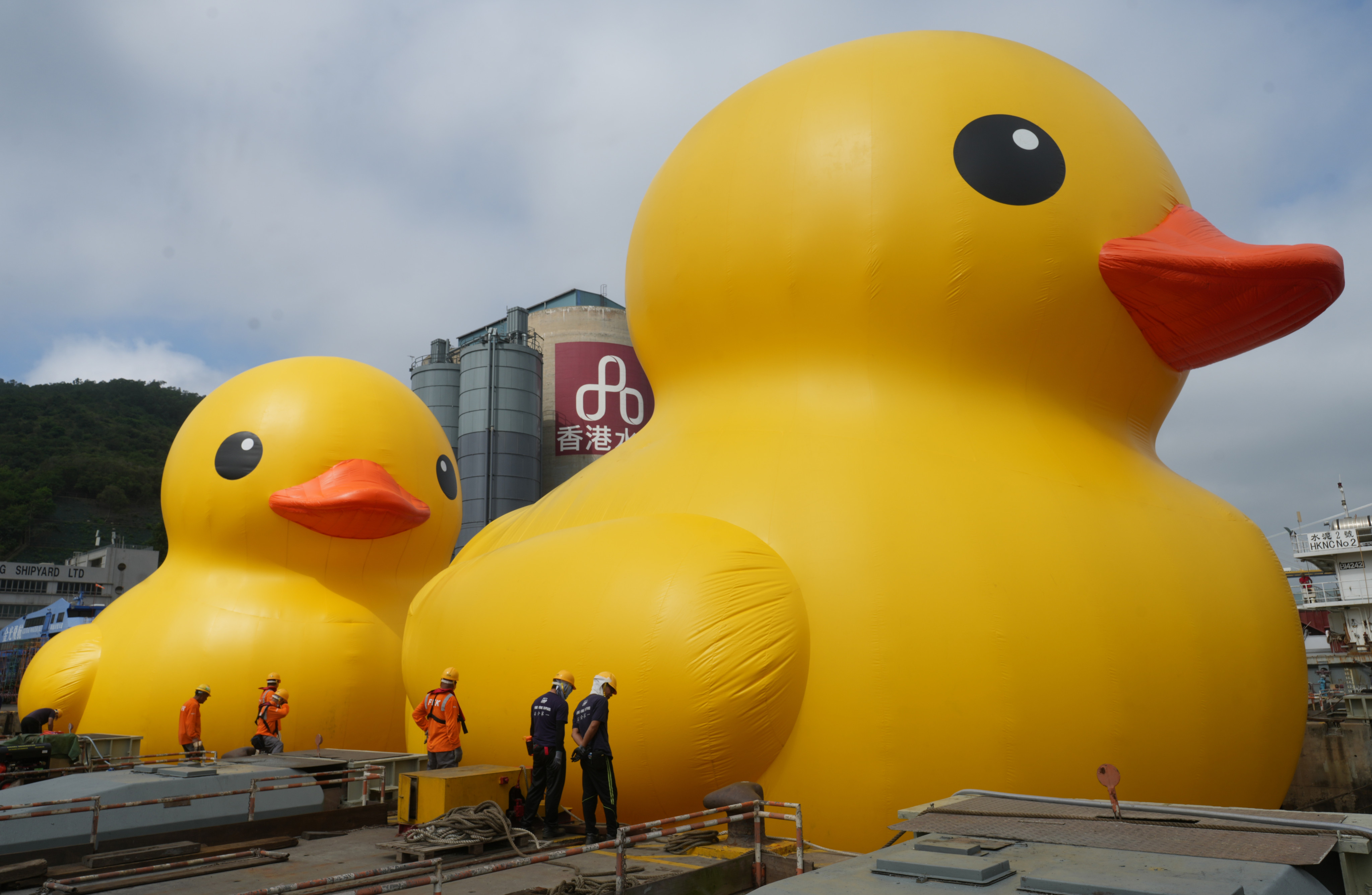 The latest version of Hong Kong’s beloved giant rubber duck is bigger and comes in a pair. Photo: Sam Tsang
