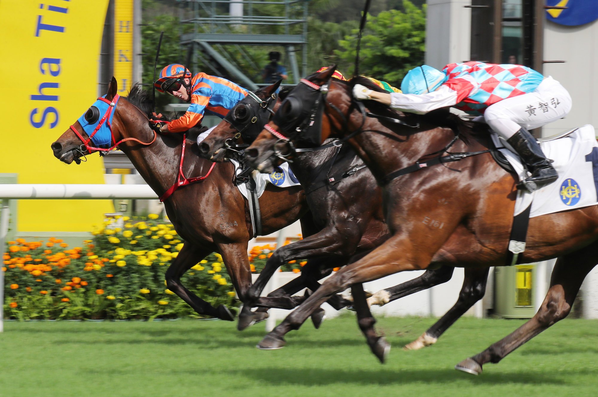 Brenton Avdulla rides Go Go Sixteen to victory at Sha Tin on Sunday. Brenton Avdulla rides Go Go Sixteen to victory at Sha Tin on Sunday.