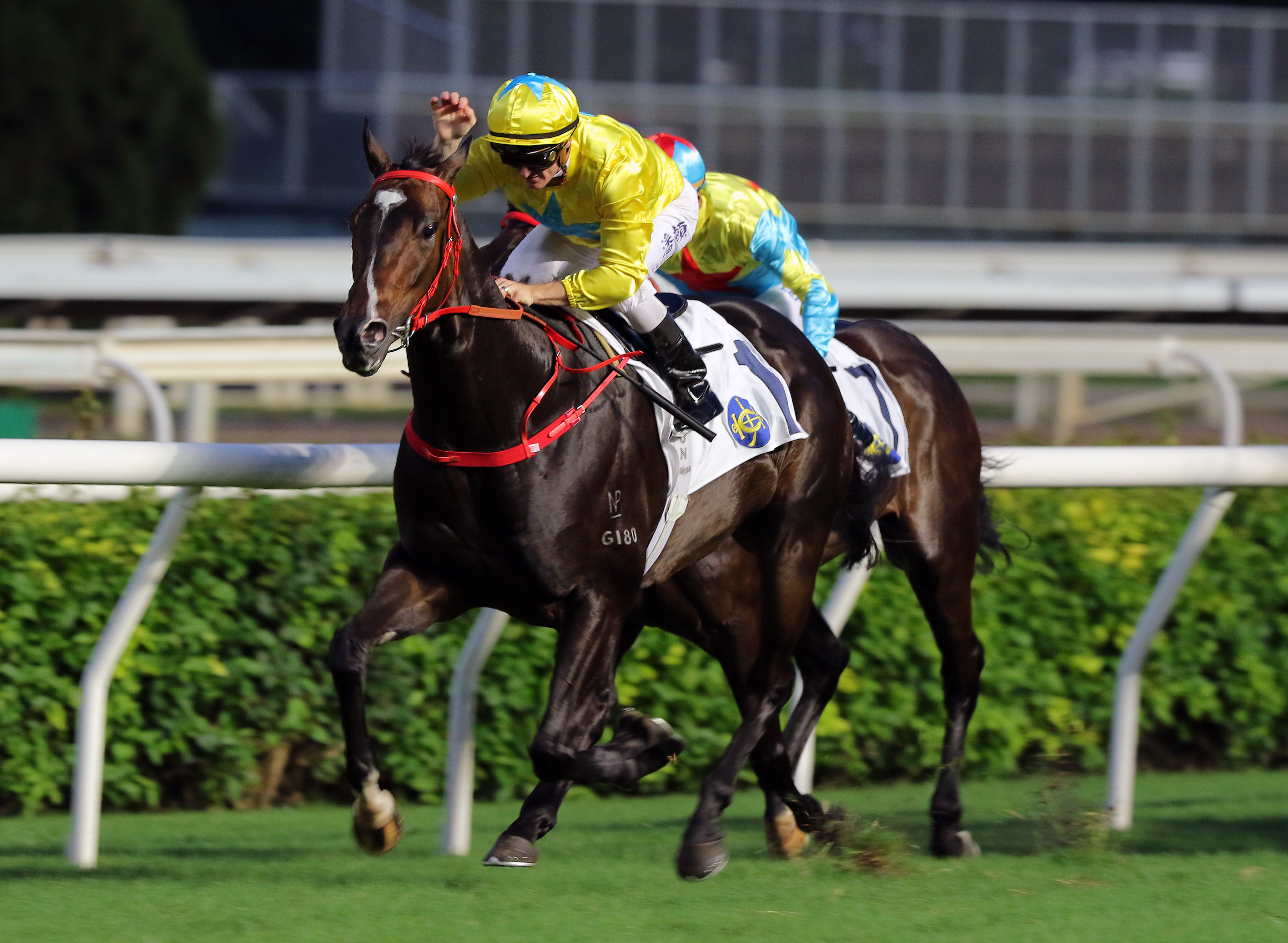 Zac Purton gives Lucky Sweynesse a pat as they win the Sha Tin Vase on Sunday. Photos: Kenneth Chan