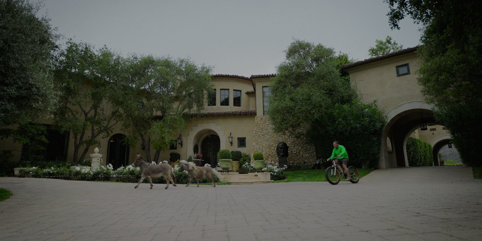 Netflix documentary review Arnold Schwarzenegger’s story as a