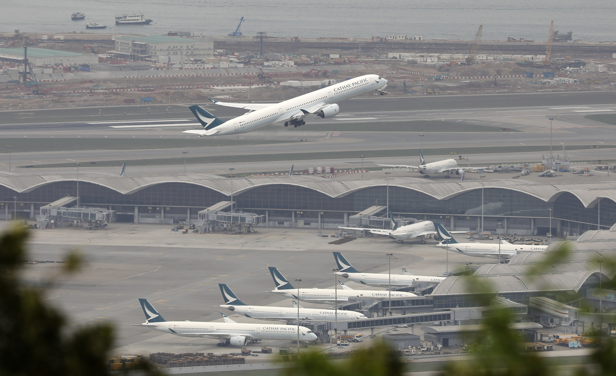 Flag carrier Cathay Pacific is only one piece of the puzzle for city’s aviation recovery, according to the global trade body chief. Photo: Yik Yeung-man