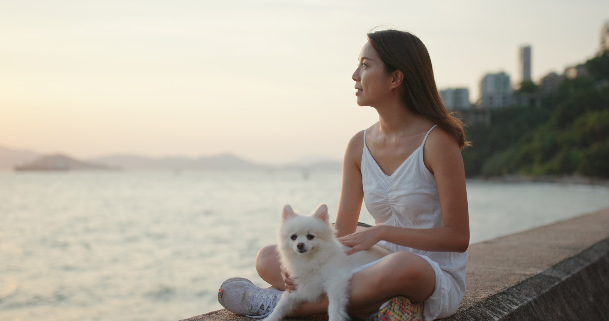 Is having a pet good for your health? Studies show heart and brain