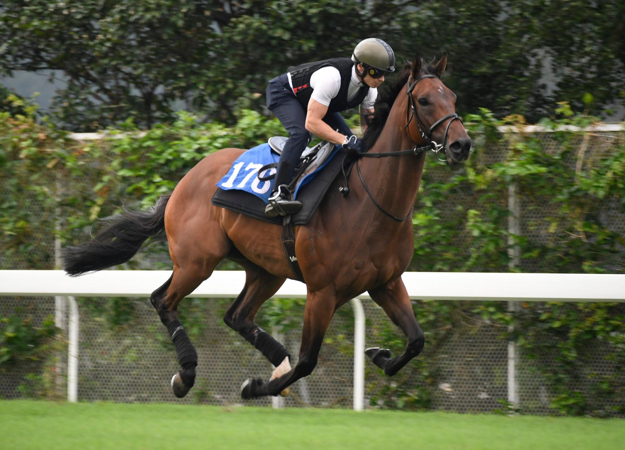 Wellington works under Alexis Badel at Sha Tin recently.