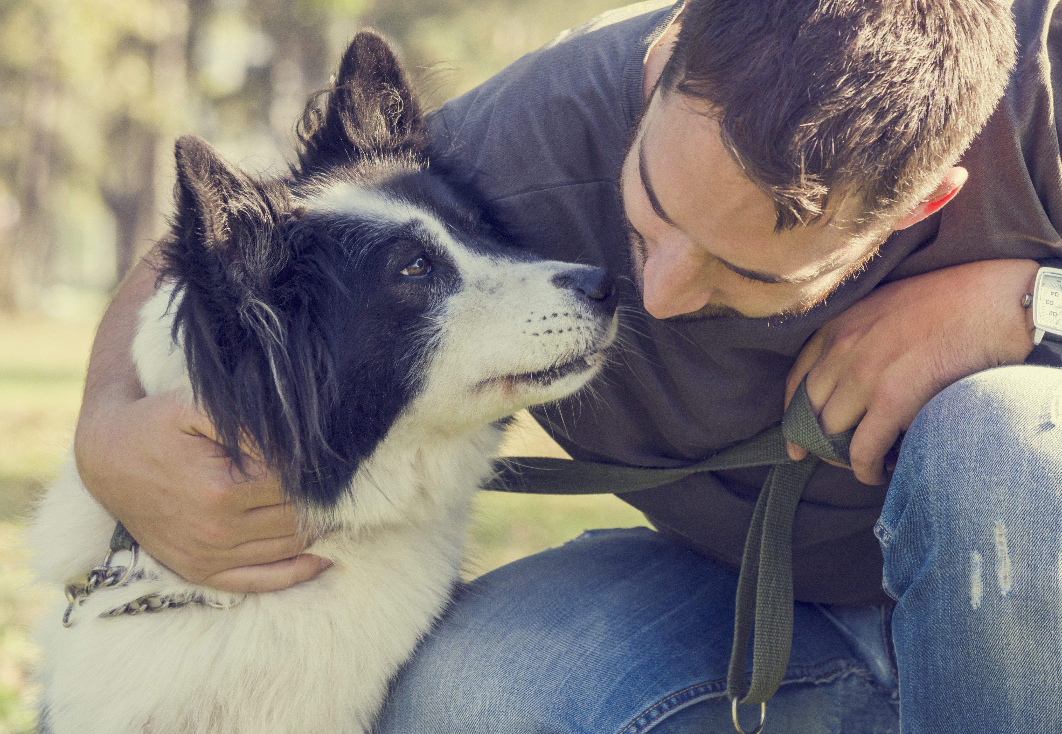 Positive pet ownership is linked with a number of health benefits in owners, including healthier hearts and brains. Photo: Shutterstock