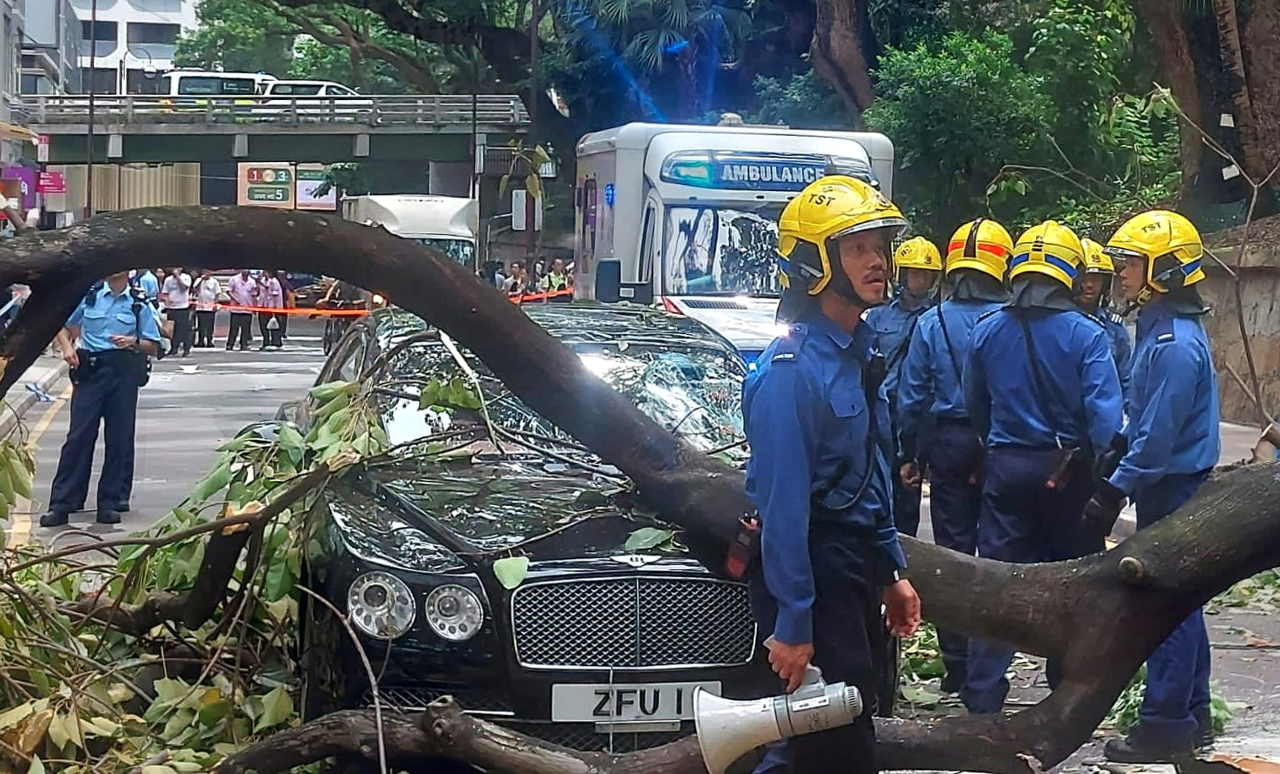 The tree crashed onto the Bentley in Tsim Sha Tsui at about 2.30pm. Photo: Handout  