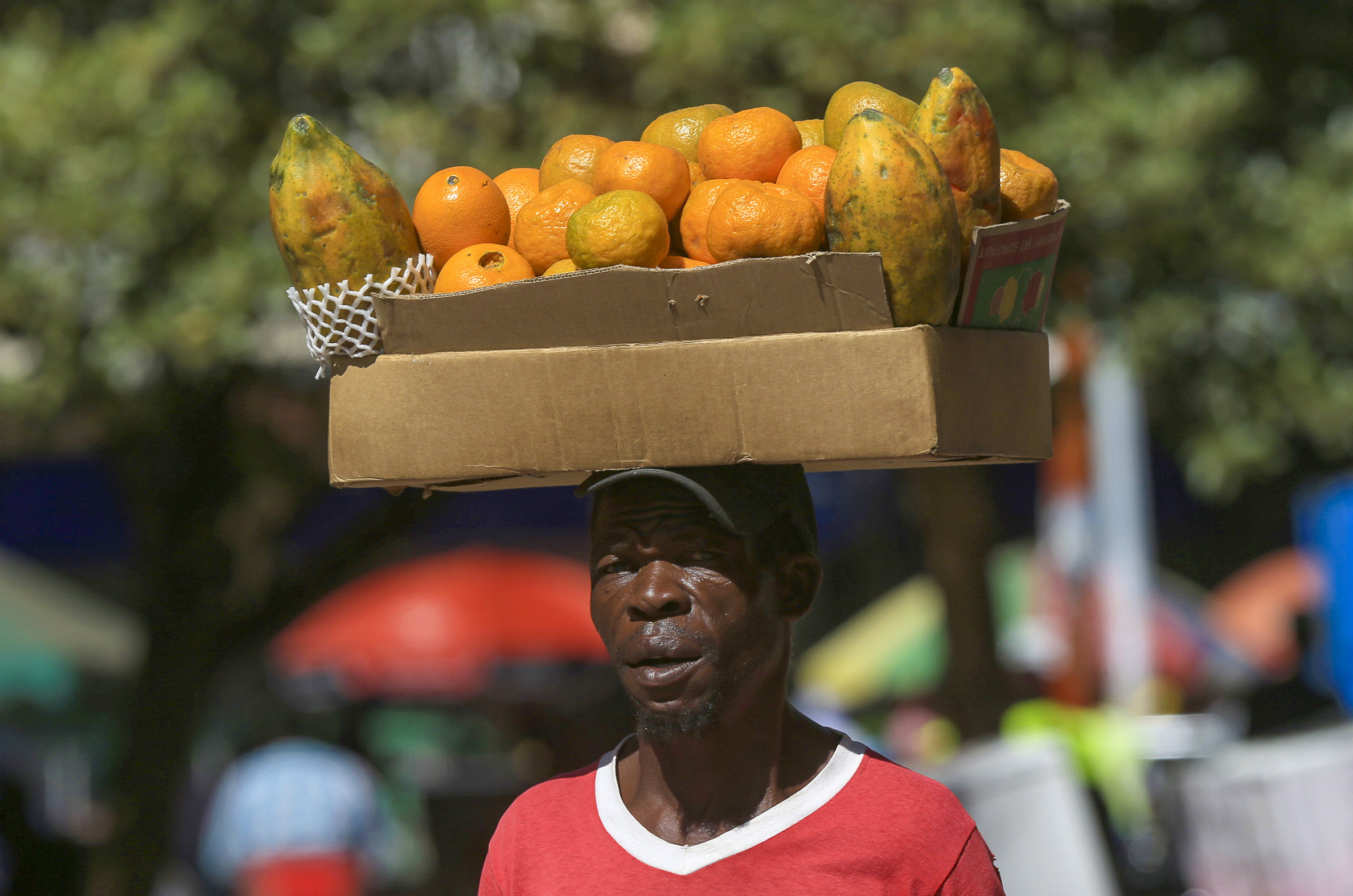 A group of Zimbabwean citrus growers and distributors has been granted access to export fresh fruit to China. EPA-EFE
