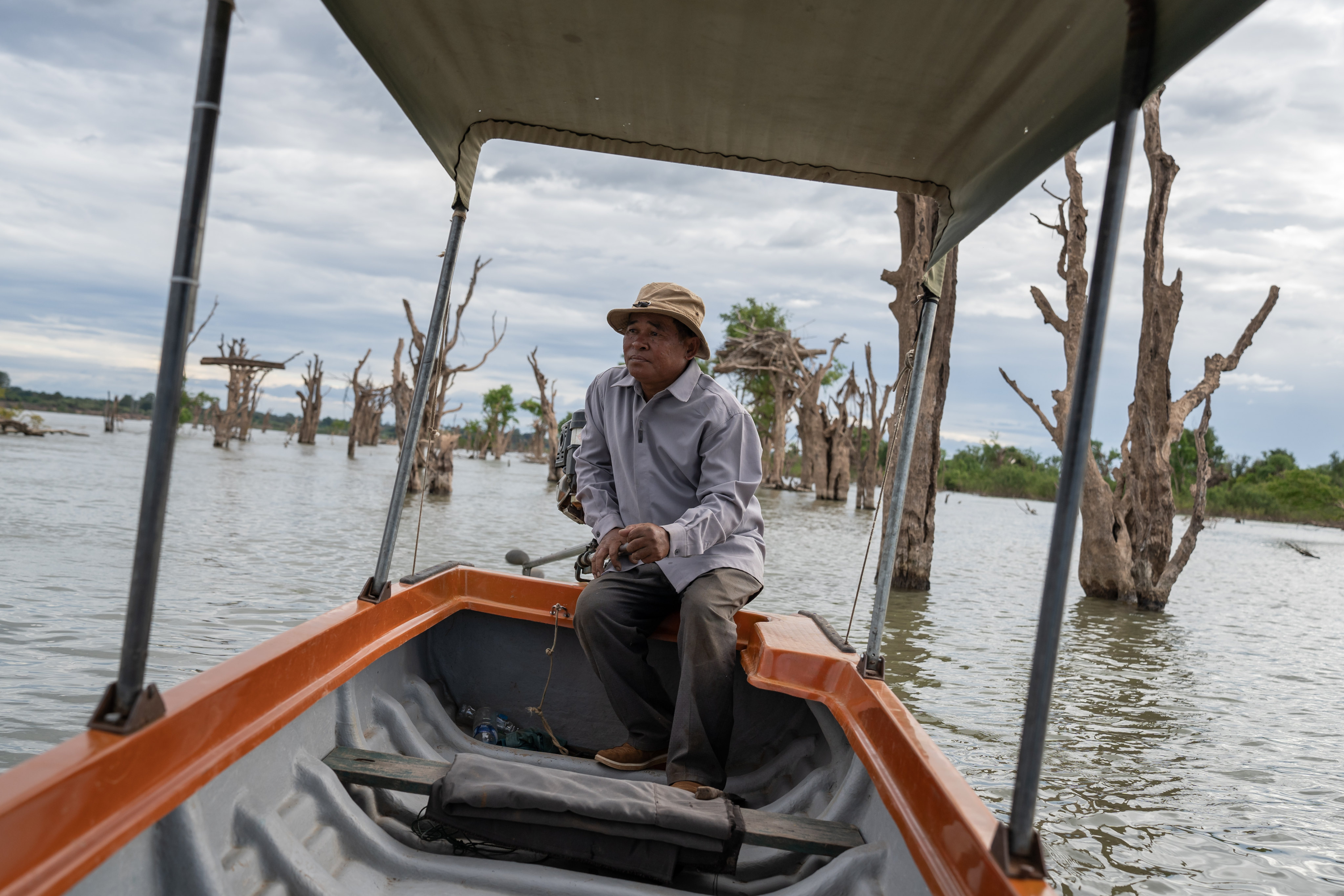 6 December, 2022 - Stung Treng Ramsar Site, Stung Treng Province (Cambodia). Phoy Vanna, Chief of the Preah Rumkel Community-Based Ecotourism Site, drives his boat on the Mekong River through a section of dead trees that previously made up a flooded forest. The death of the forest has raised concerns amongst locals, who rely on the flooded forests to provide an income through tourism. Researchers say that unusually high water levels during the dry season, as a result of upstream dams in Laos and China releasing water, are preventing the forests from drying out, and therefore killing them. © Andy Ball&#xA;&#xA;CREDIT:  Andy Ball