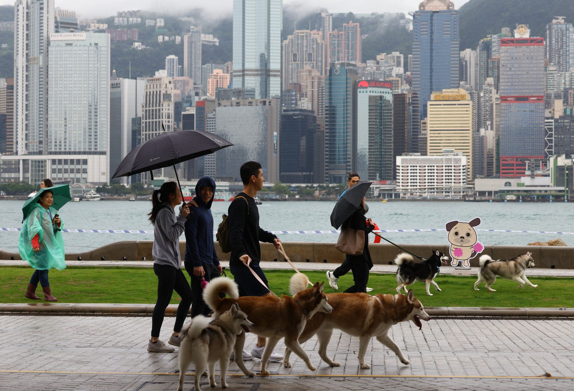 Is Hong Kong petfriendly? Owners new dog parks but want more