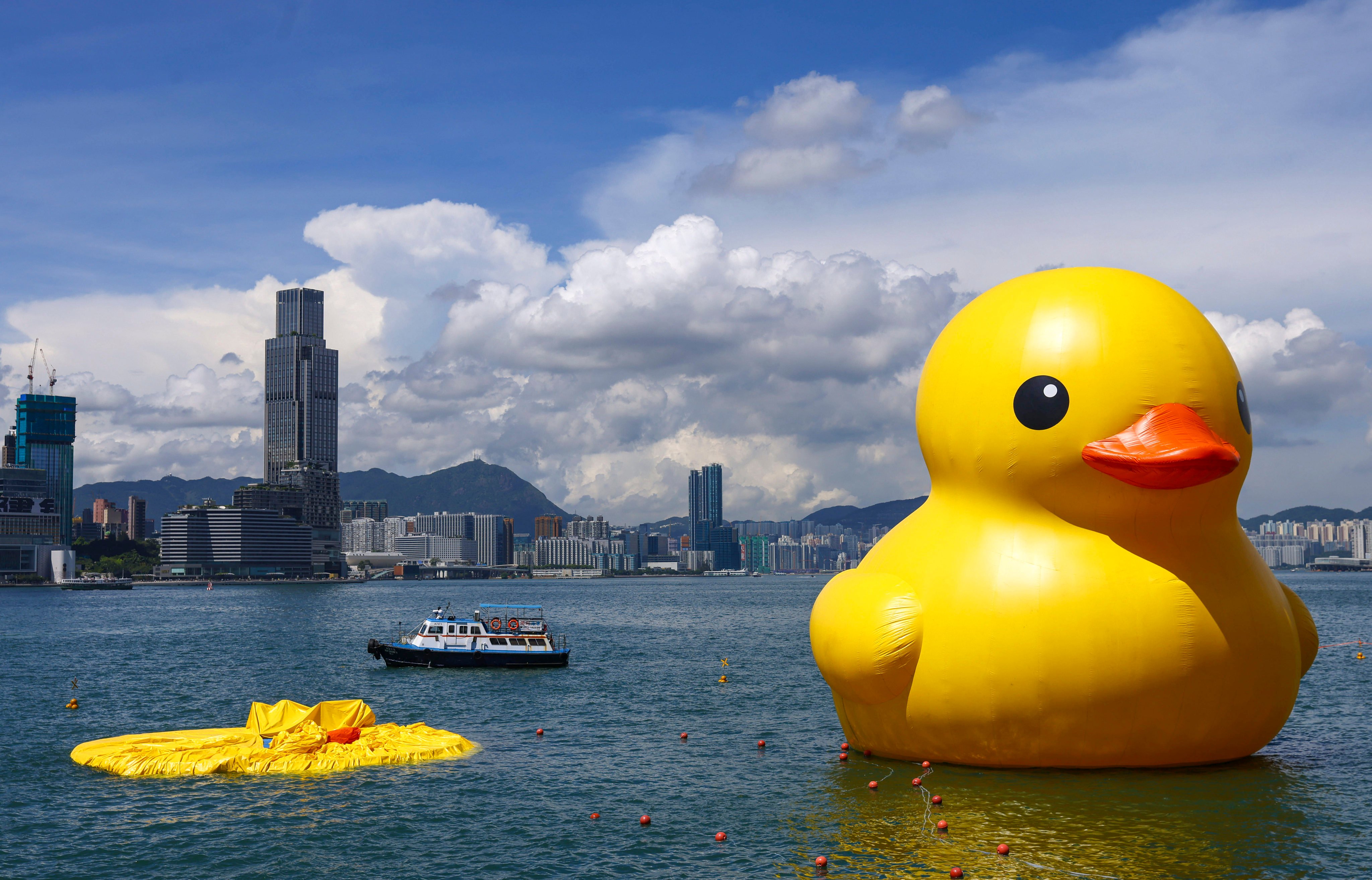 Two giant rubber ducks debut in Hong Kong in bid to drive double  happiness