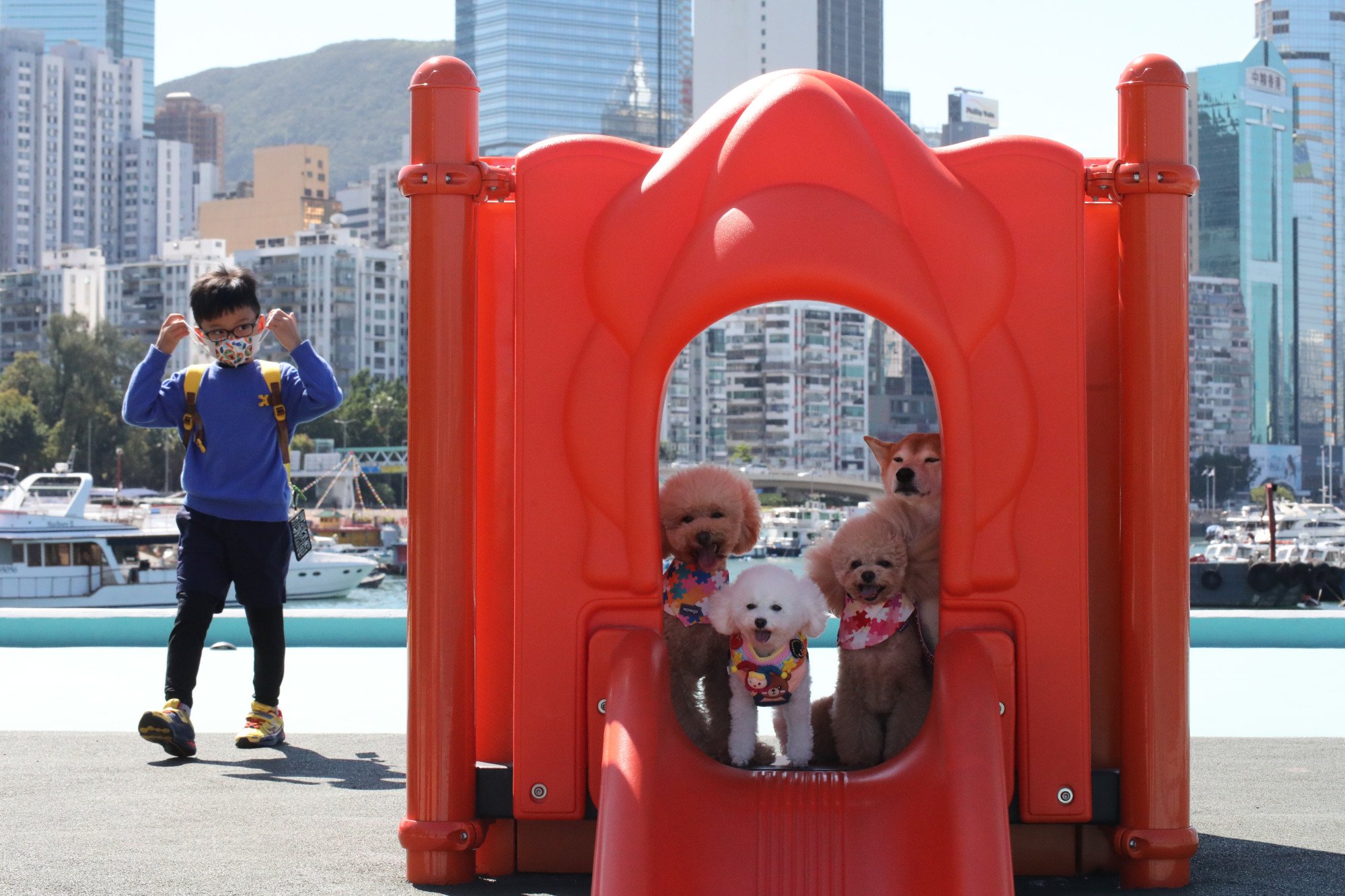 Is Hong Kong petfriendly? Owners new dog parks but want more