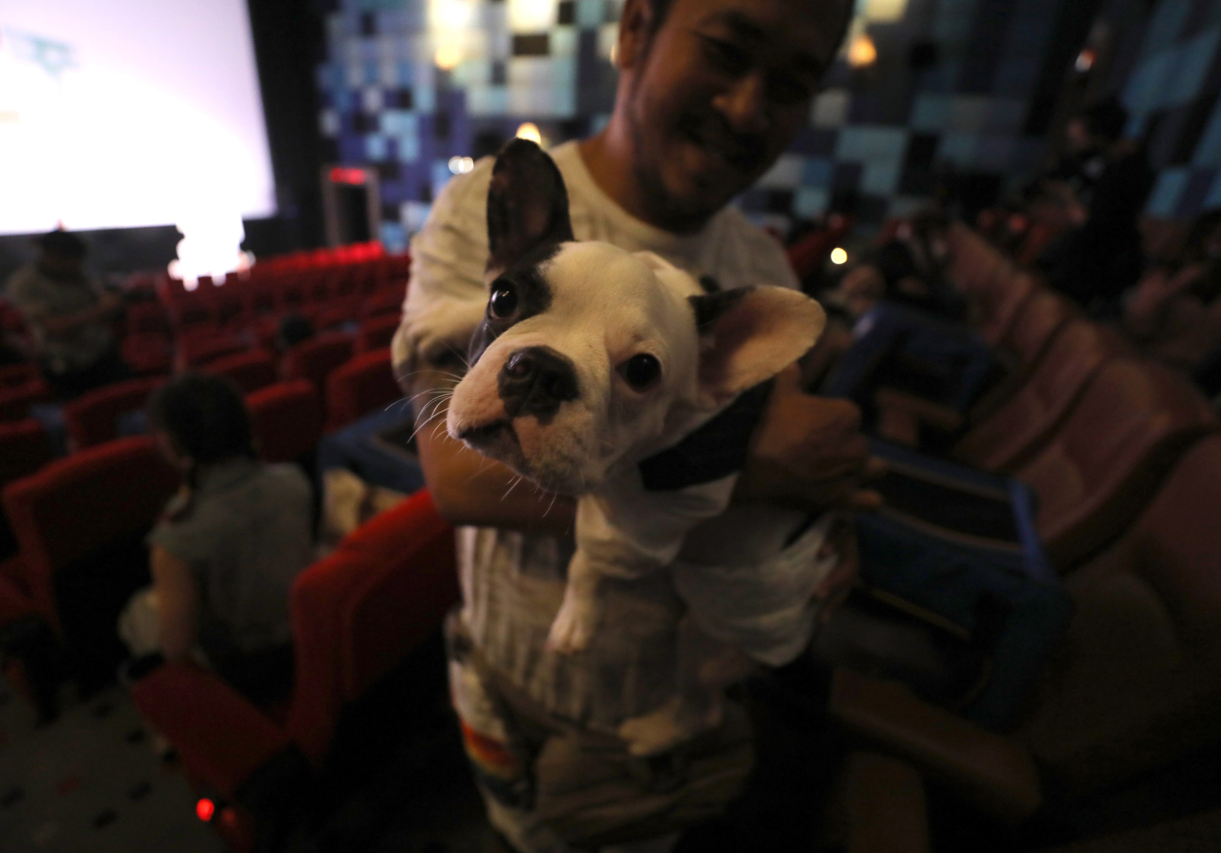 A man and his dog wait inside a movie theatre to watch a movie during the opening day of the pet friendly theatre ‘i-Tail Pet Cinema’ at Mega Cineplex in Thailand. Photo: EPA-EFE