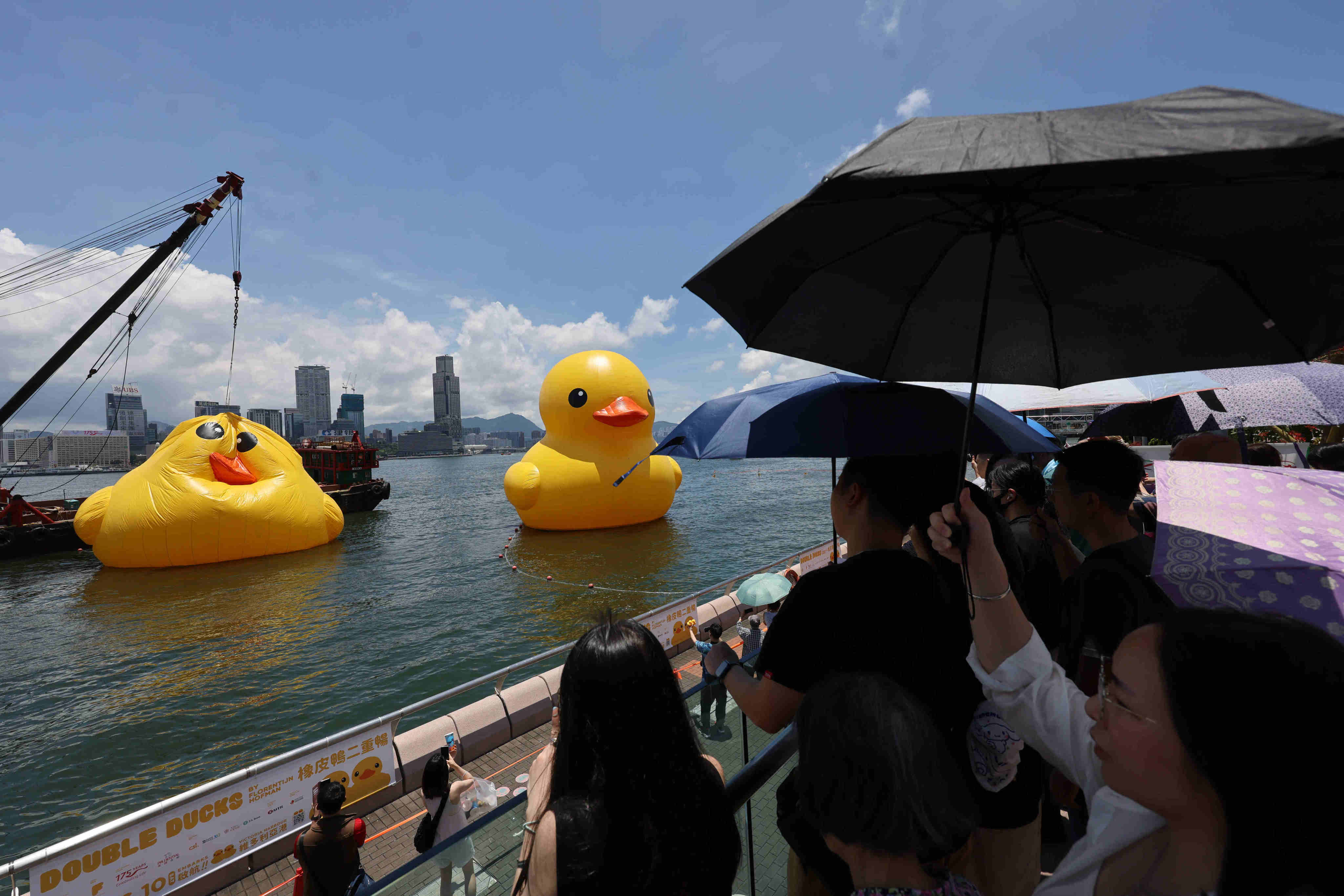 The giant rubber duck was reunited with its twin after checks and repairs. Photo: May Tse