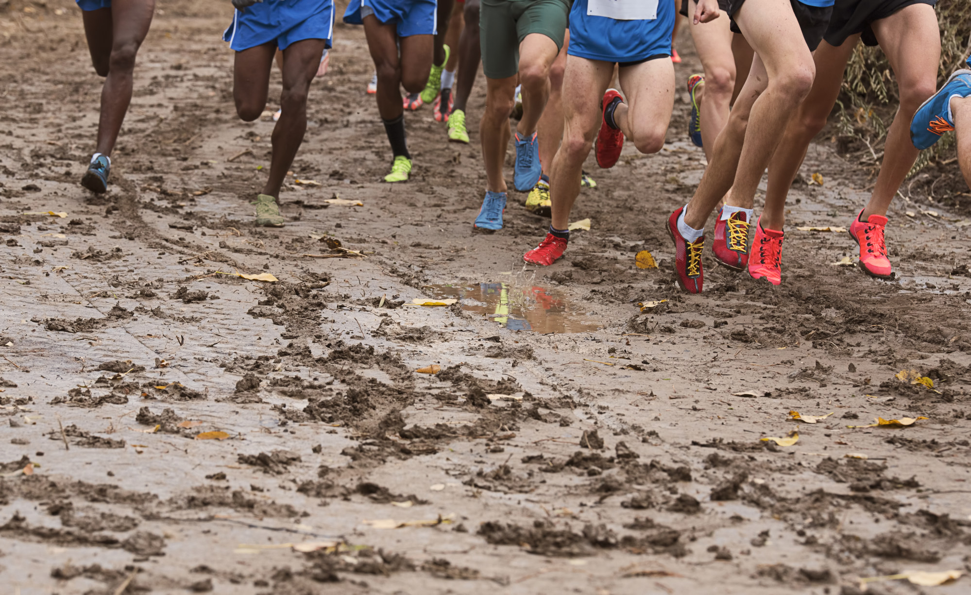 Should ultra runners do speed sessions? Improving your ultra running