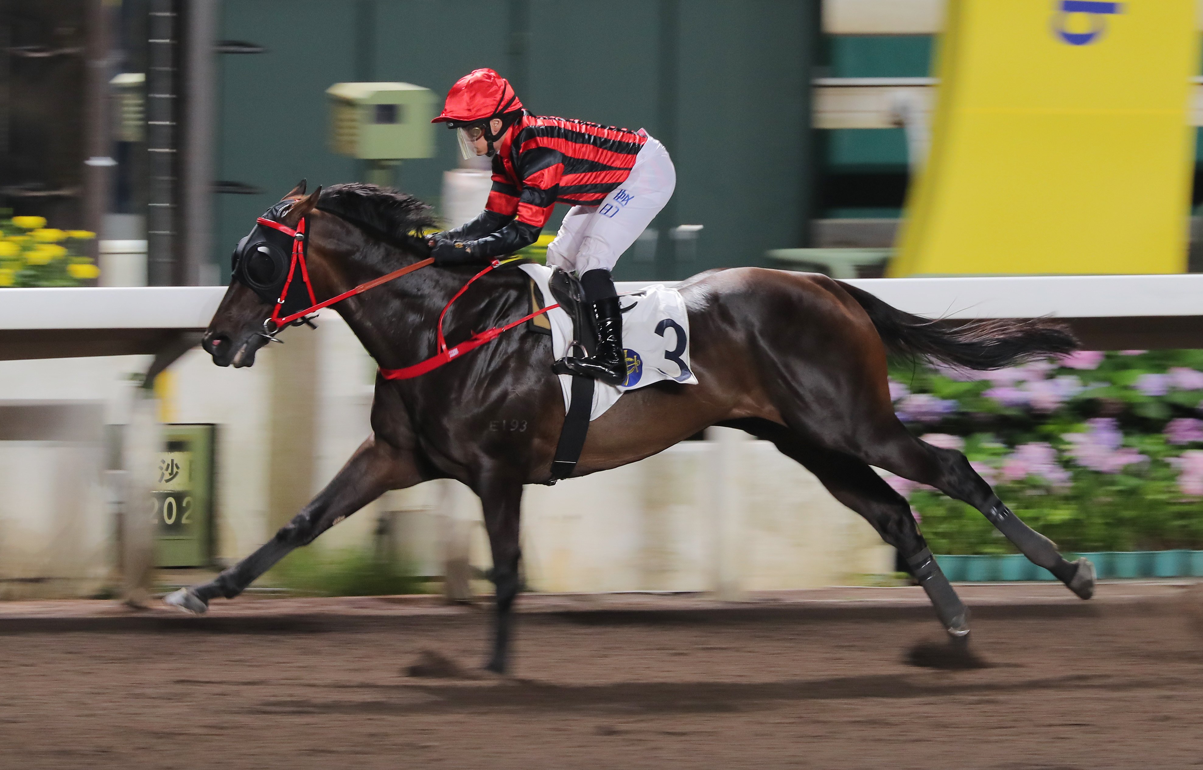 Alexis Badel steers Erimo to his four-length win over 1,650m at Sha Tin on May 10. Photo: Kenneth Chan