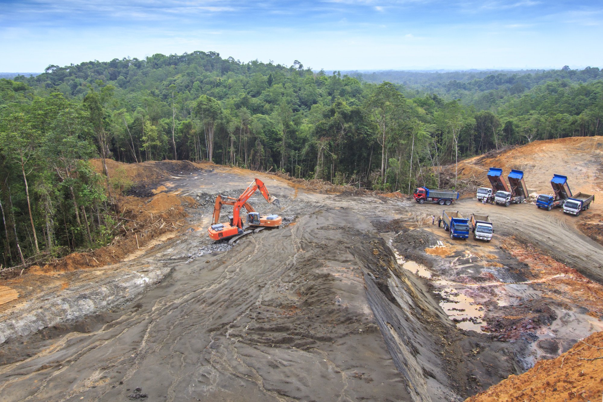 Deforestation in Borneo. In the Malaysian part of the huge island, the total water reserve margin stands at just 7 per cent, according to government data. Photo: Shutterstock