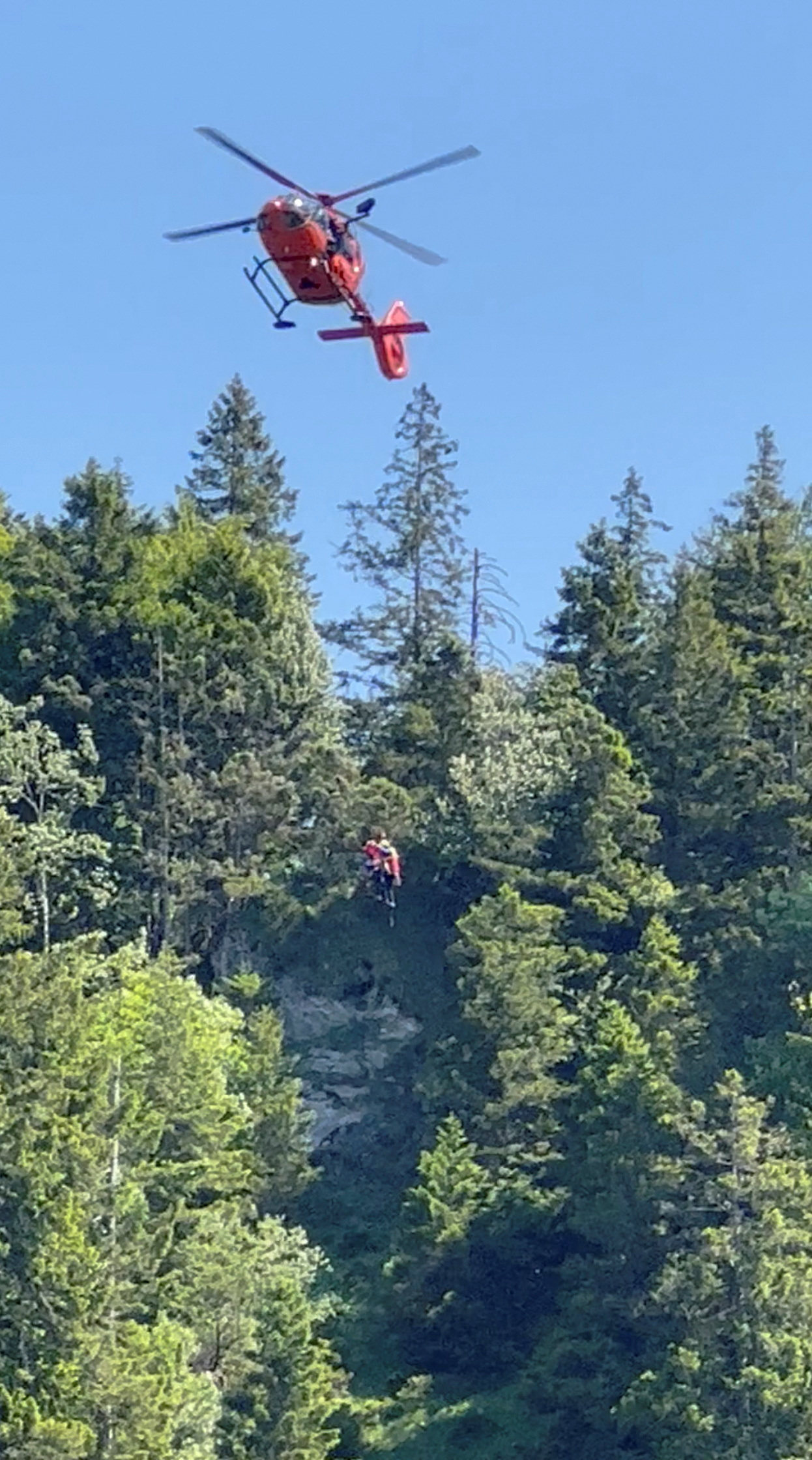 neuschwanstein tourist killed