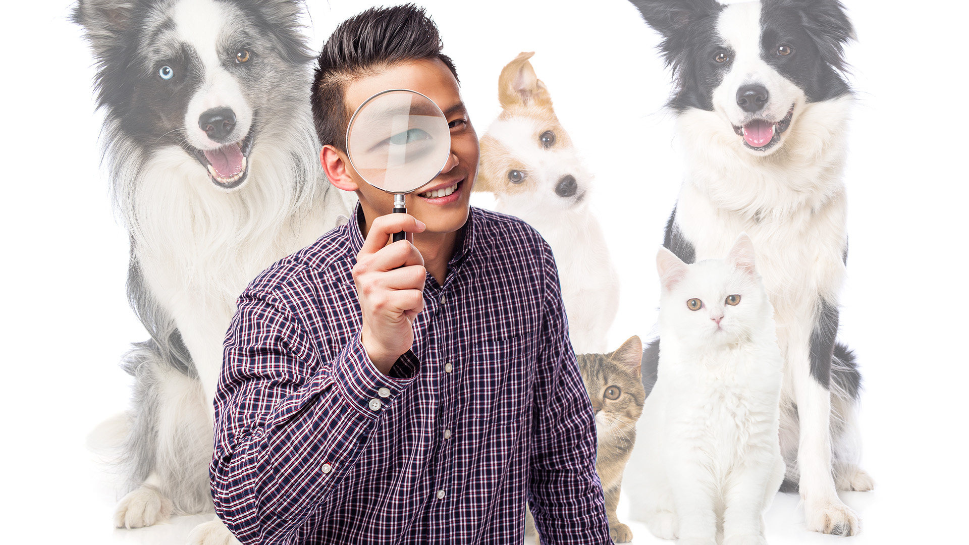 Some people in China are hiring special detectives to help them find their lost pets. Photo: SCMP composite