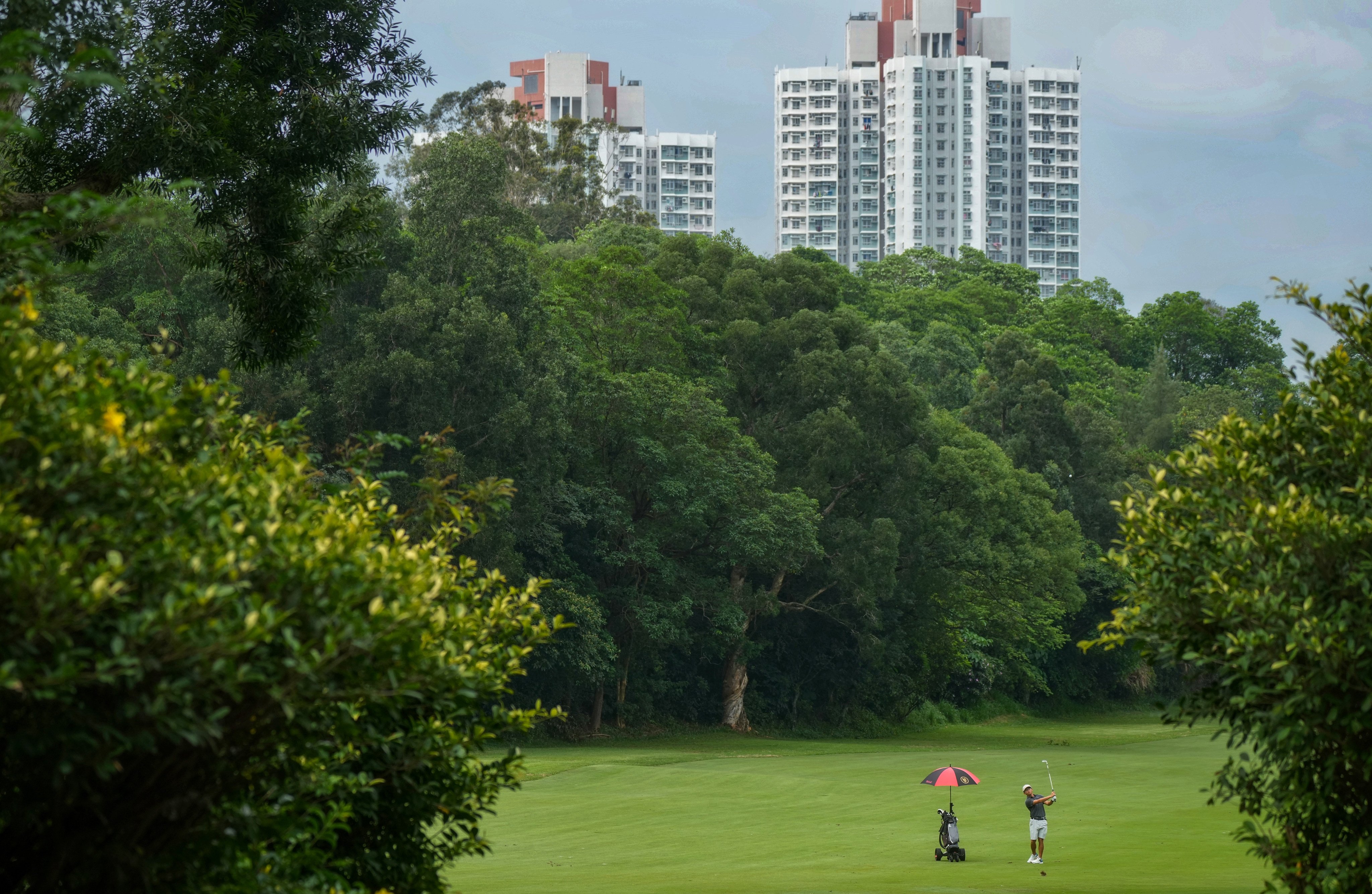A golfer on the Old Course at the Hong Kong Golf Club on June 13. Under its redevelopment plan, the government will take back 32 hectares of land from the club, including nine hectares earmarked for public housing. Photo: Elson Li