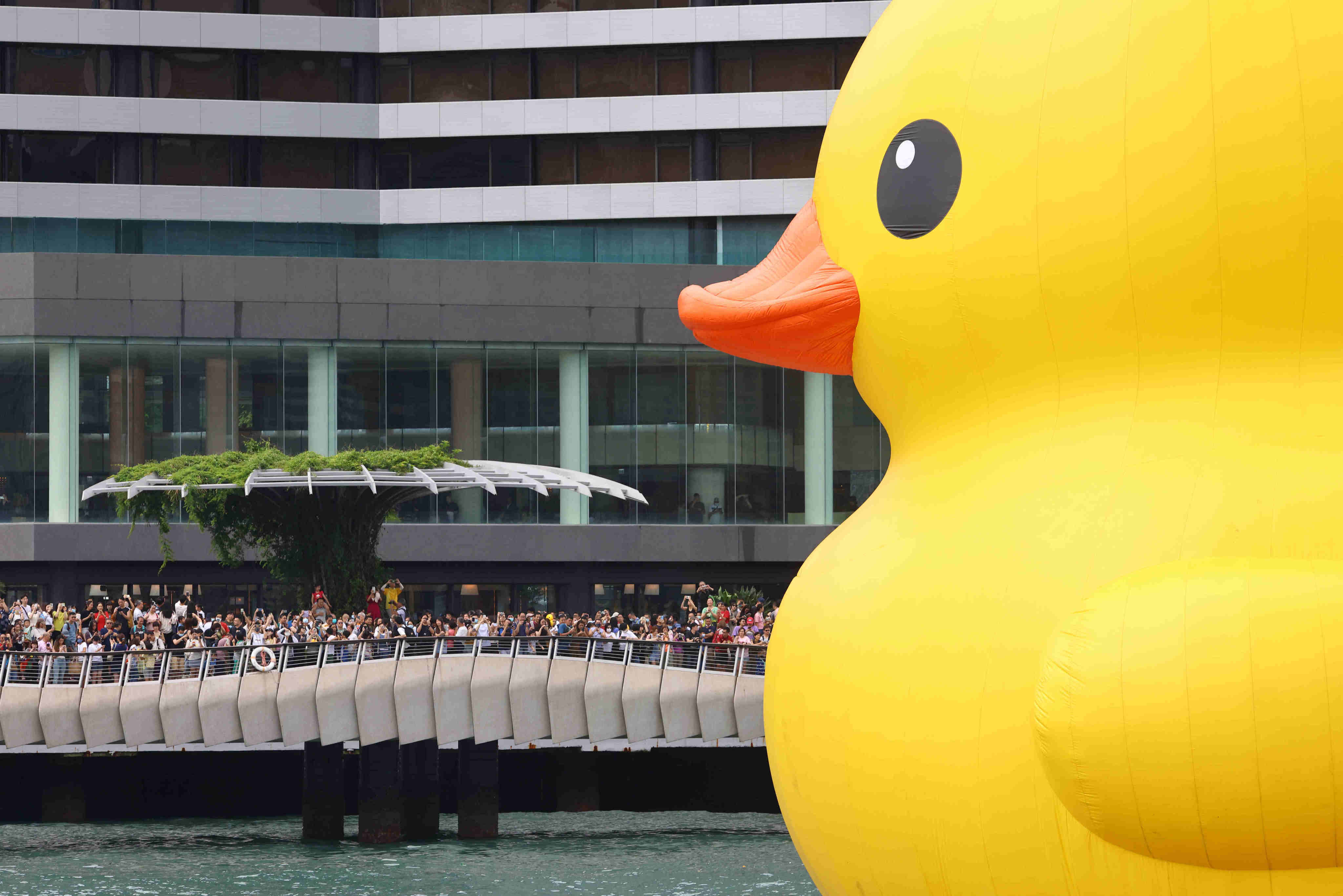 Sunday marks the last time the rubber duck duo can be seen together in Hong Kong. Photo: Dickson Lee