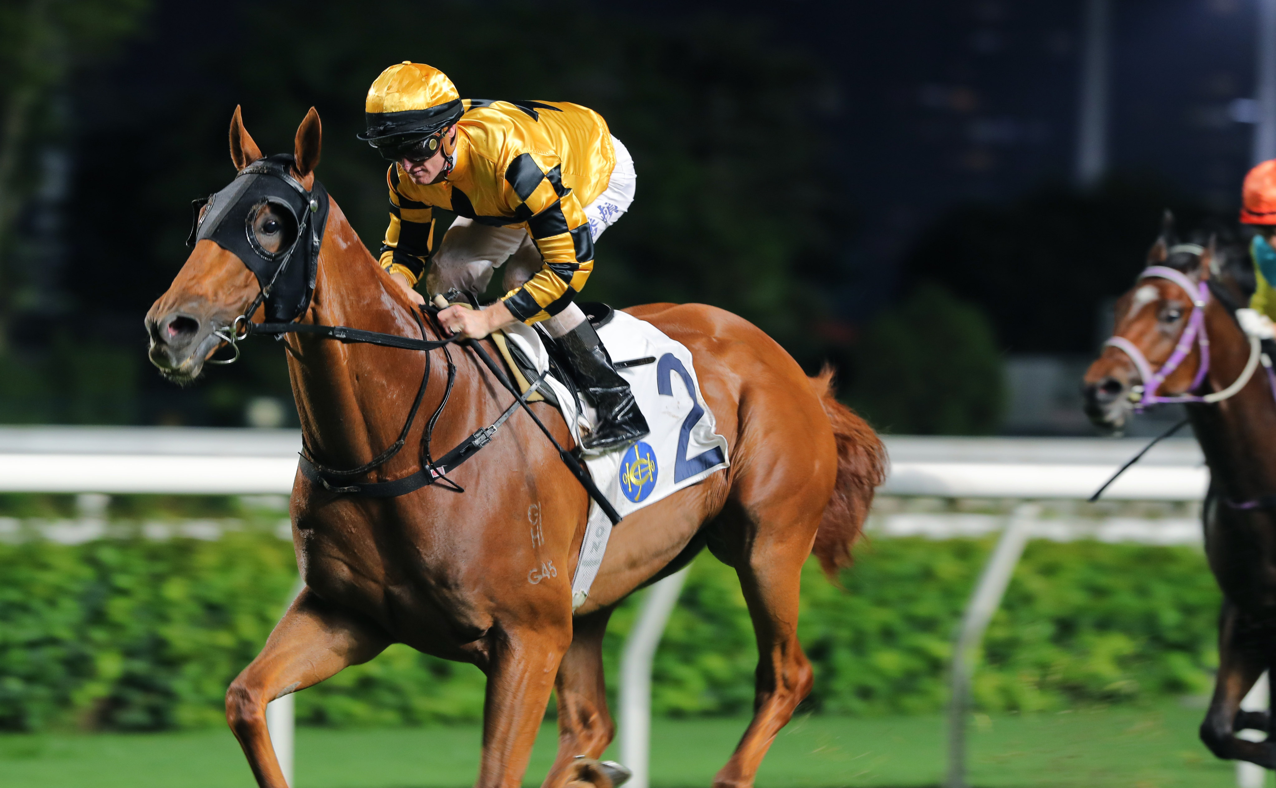 Flying Ace completes Zac Purton’s four-timer and David Hall’s treble at Sha Tin on Sunday. Photo: Kenneth Chan.