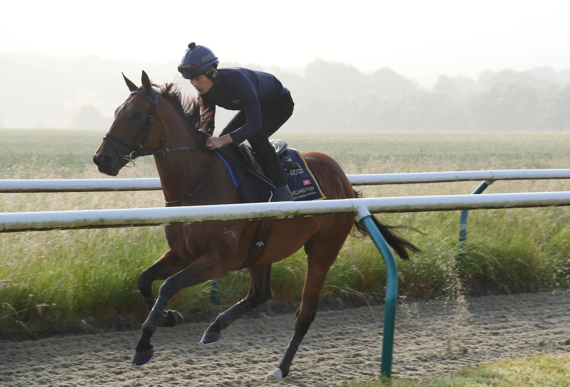 Wellington gallops at Manton Estate on Thursday morning.