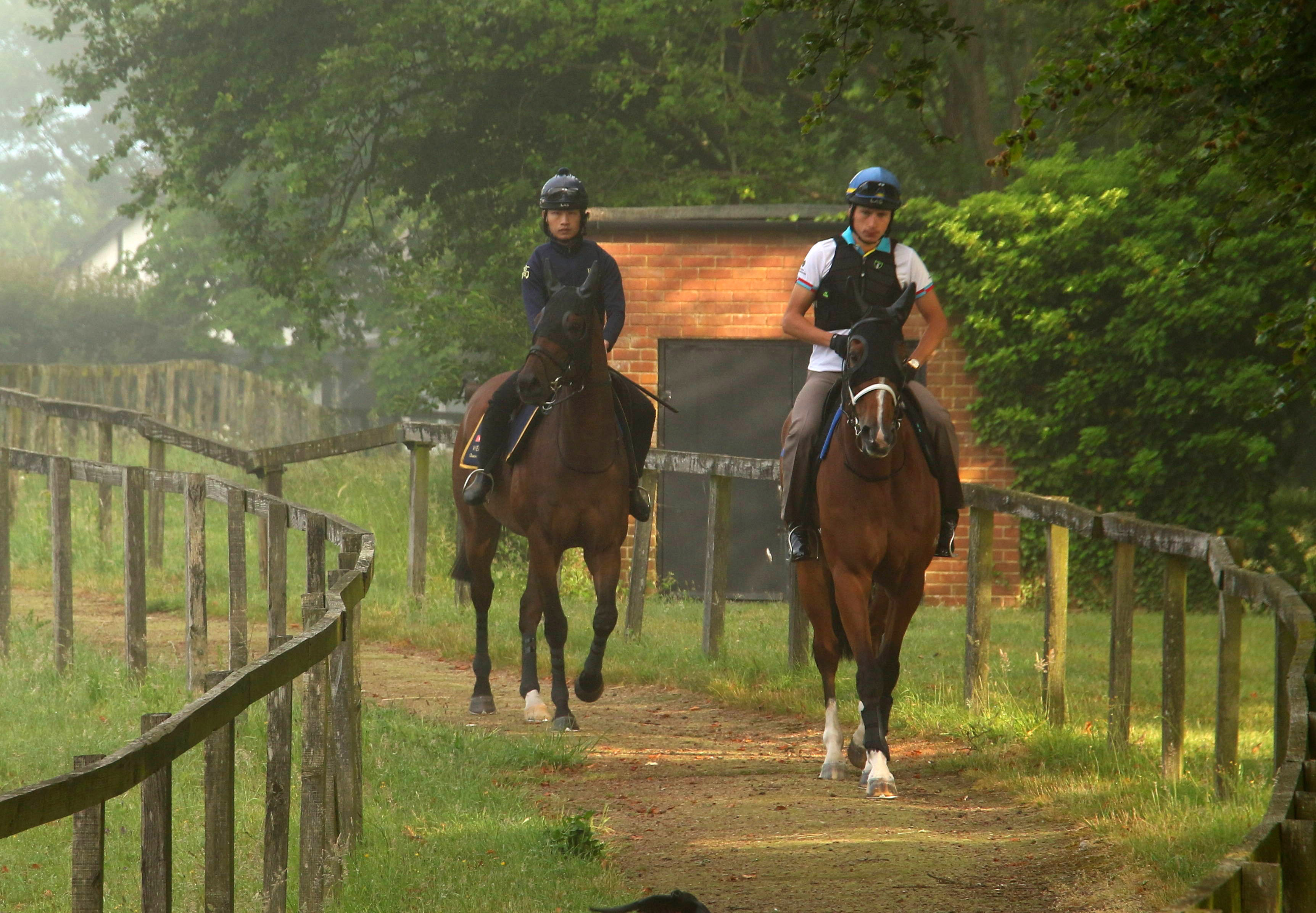 Wellington (left) and his companion Kwaichung Brothers head out to gallop at Manton Estate on Thursday morning. Photos: Pun Kwan