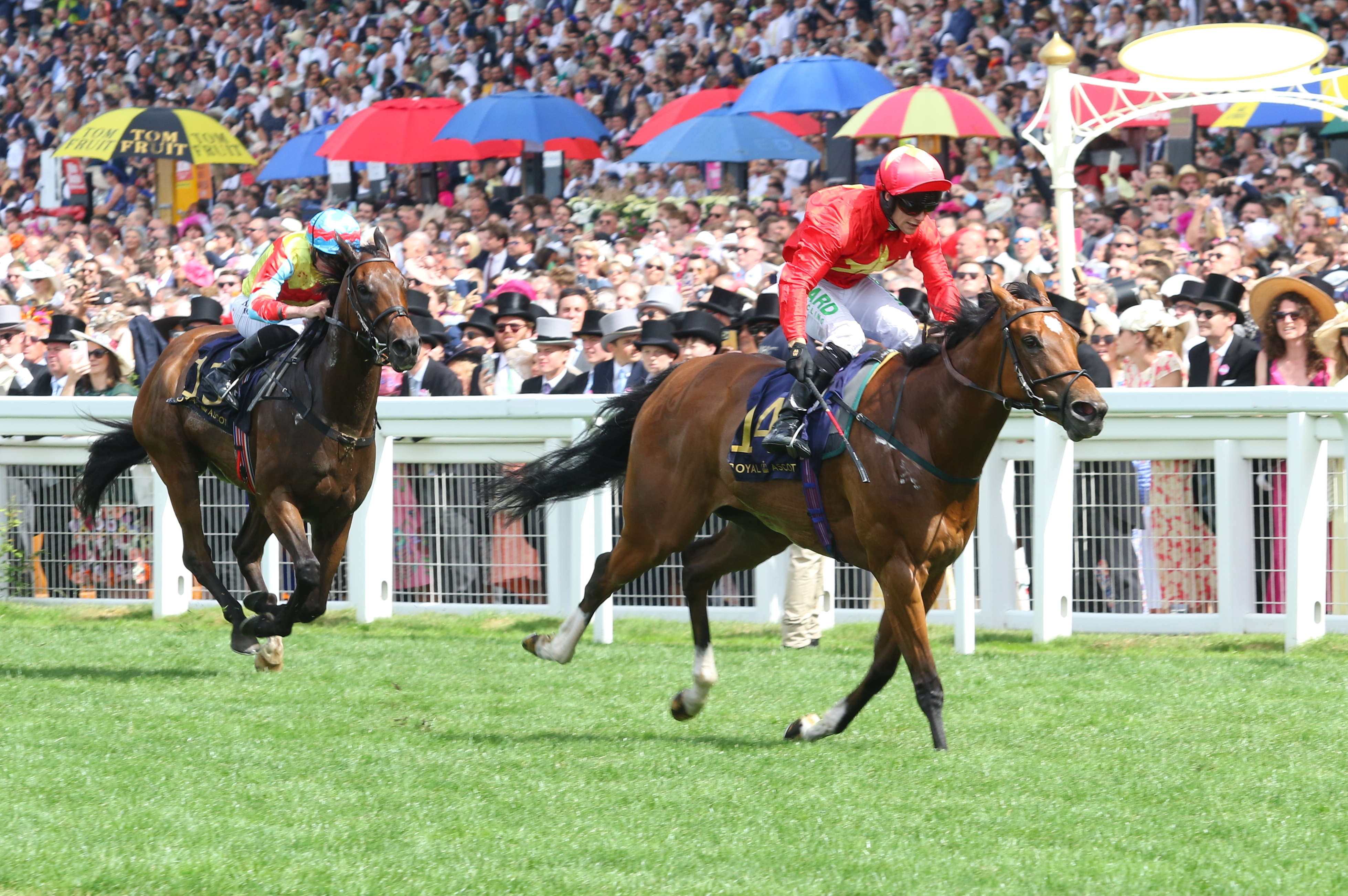 Wellington (left) tries to pick up from the back of the field in Saturday’s Group One Queen Elizabeth II Jubilee Stakes. Photos: Pun Kwan