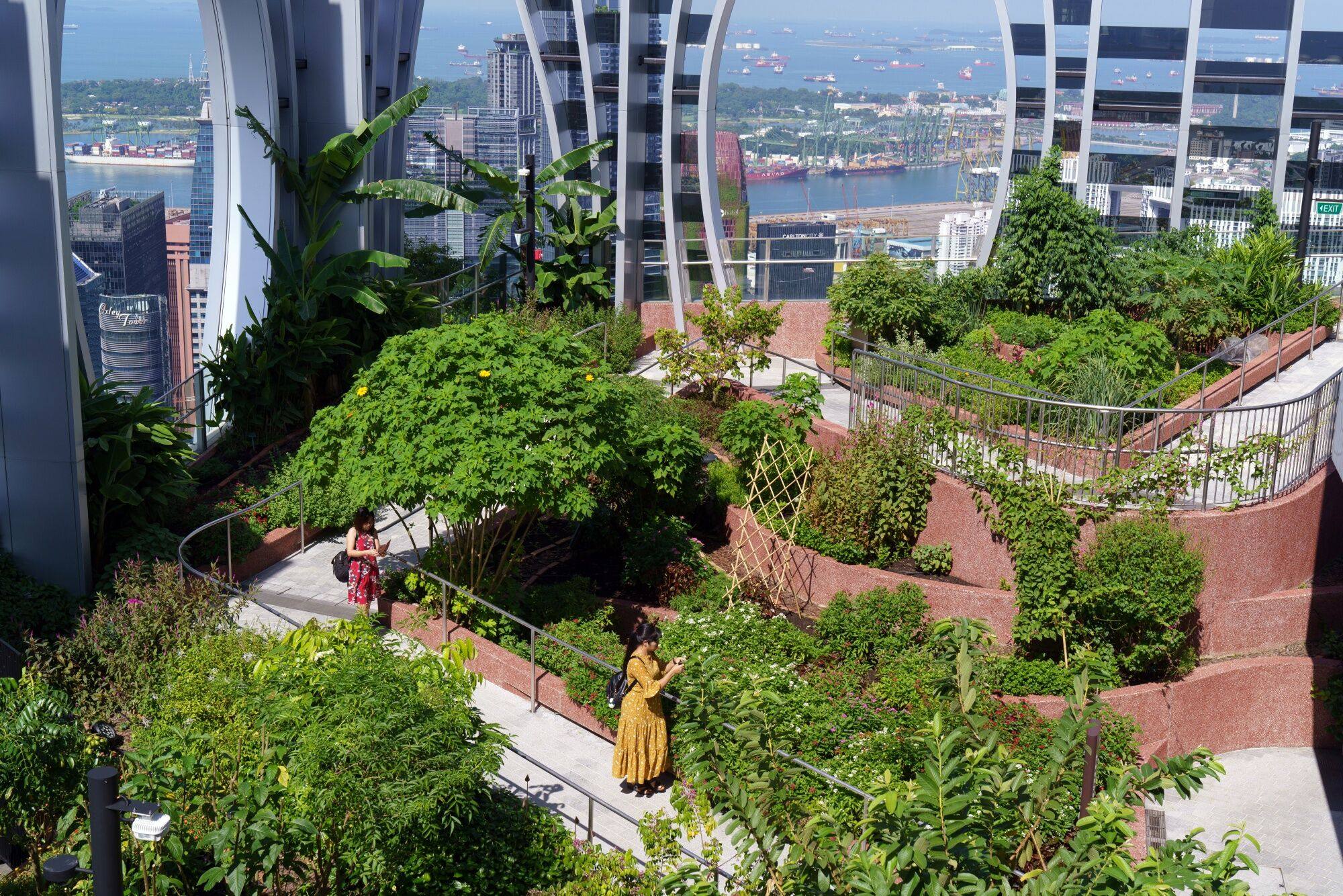 People visit the rooftop garden of a building in Singapore, on June 5. Transforming urban centres into smart and sustainable cities with advanced technologies has become a common objective for many cities globally. Photo: Bloomberg