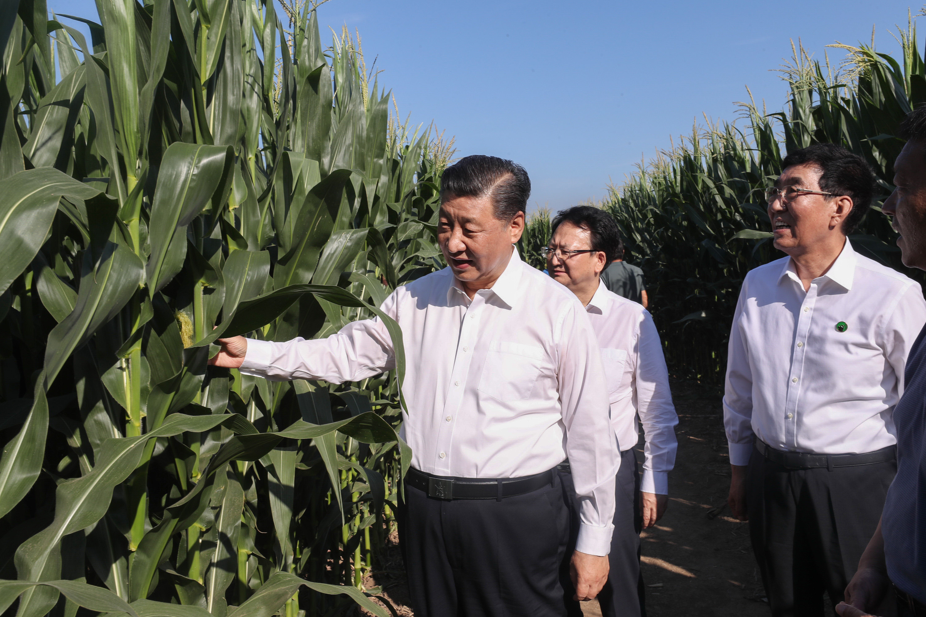 President Xi Jinping, seen here inspecting crops in 2020, has been reiterating for years the importance of food security in China. Photo: Xinhua