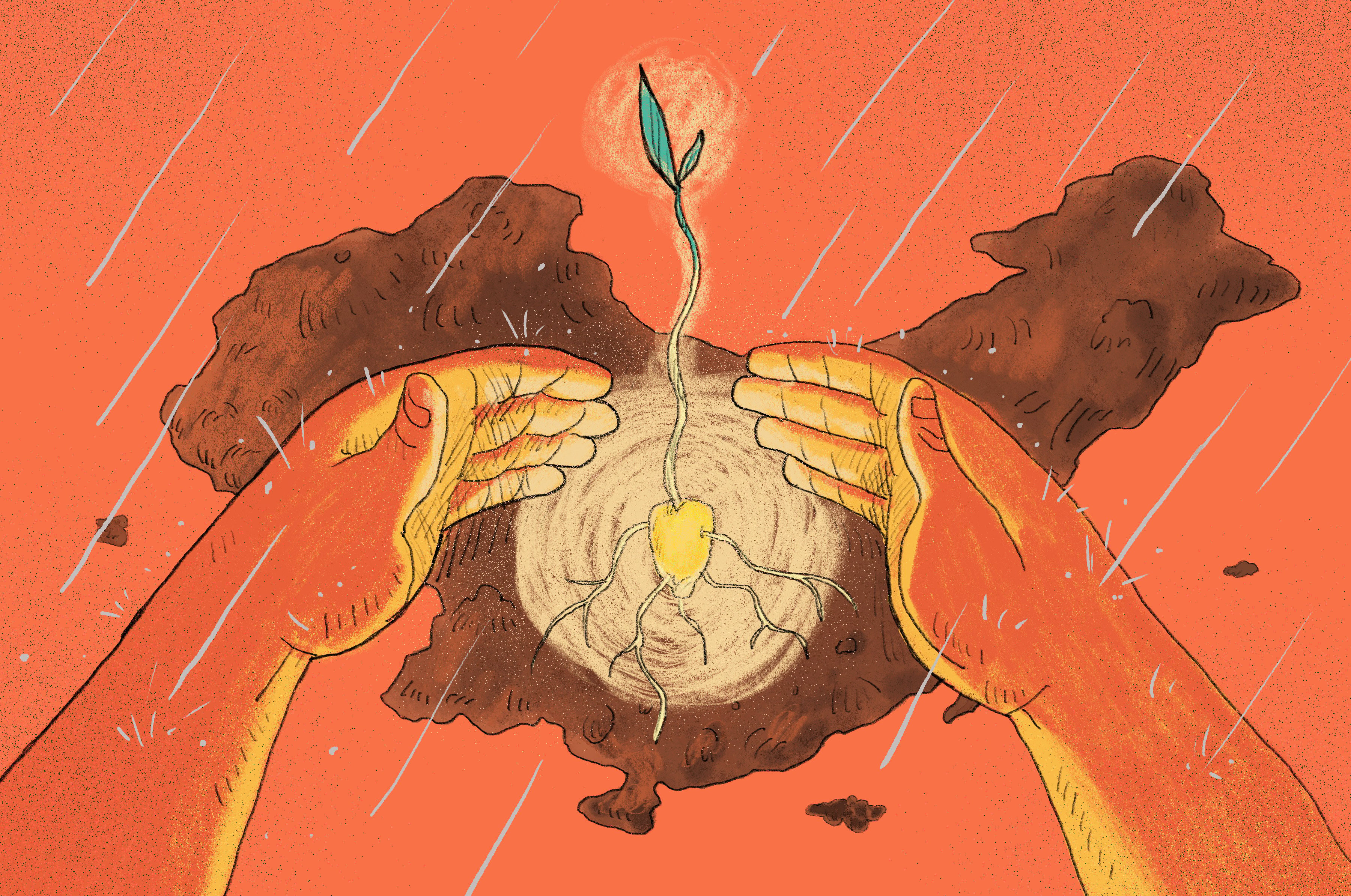China is trying to sow the seeds of agricultural advancements. Illustration: Brian Wang