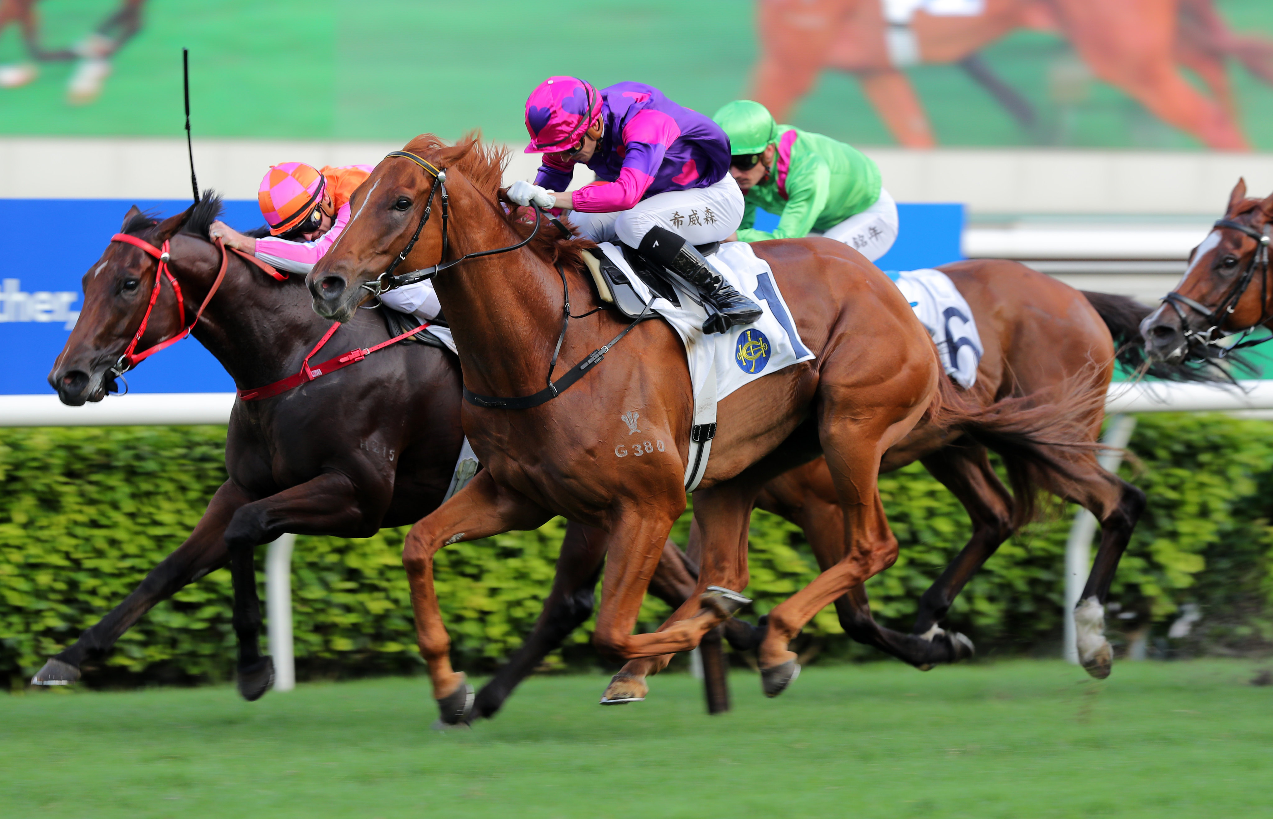Ching salutes under Lyle Hewitson at Sha Tin in May. Photo: Kenneth Chan