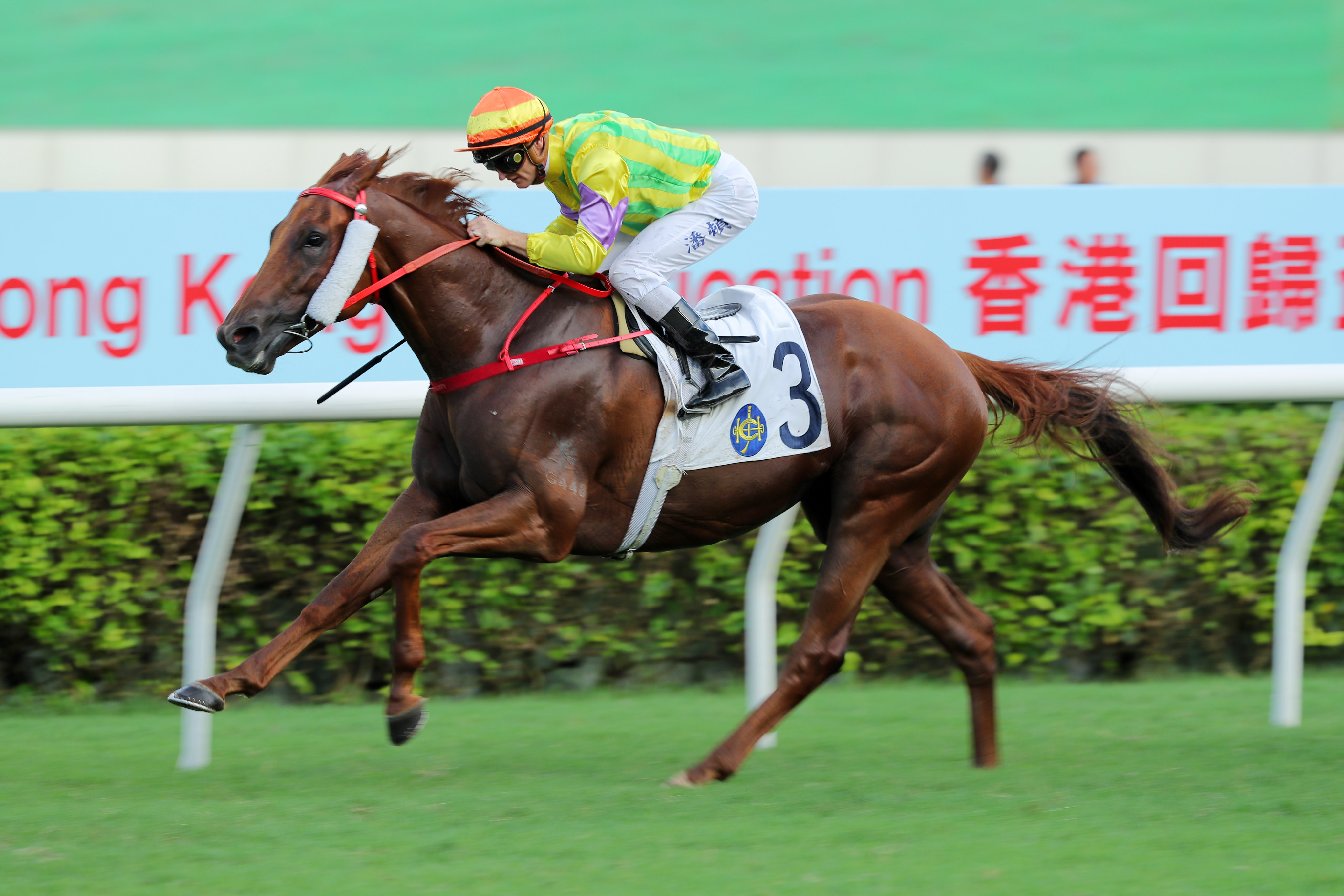 Sword Point wins the Class Two Hong Kong Reunification Cup (2,000m) at Sha Tin on Saturday. Photo: Kenneth Chan