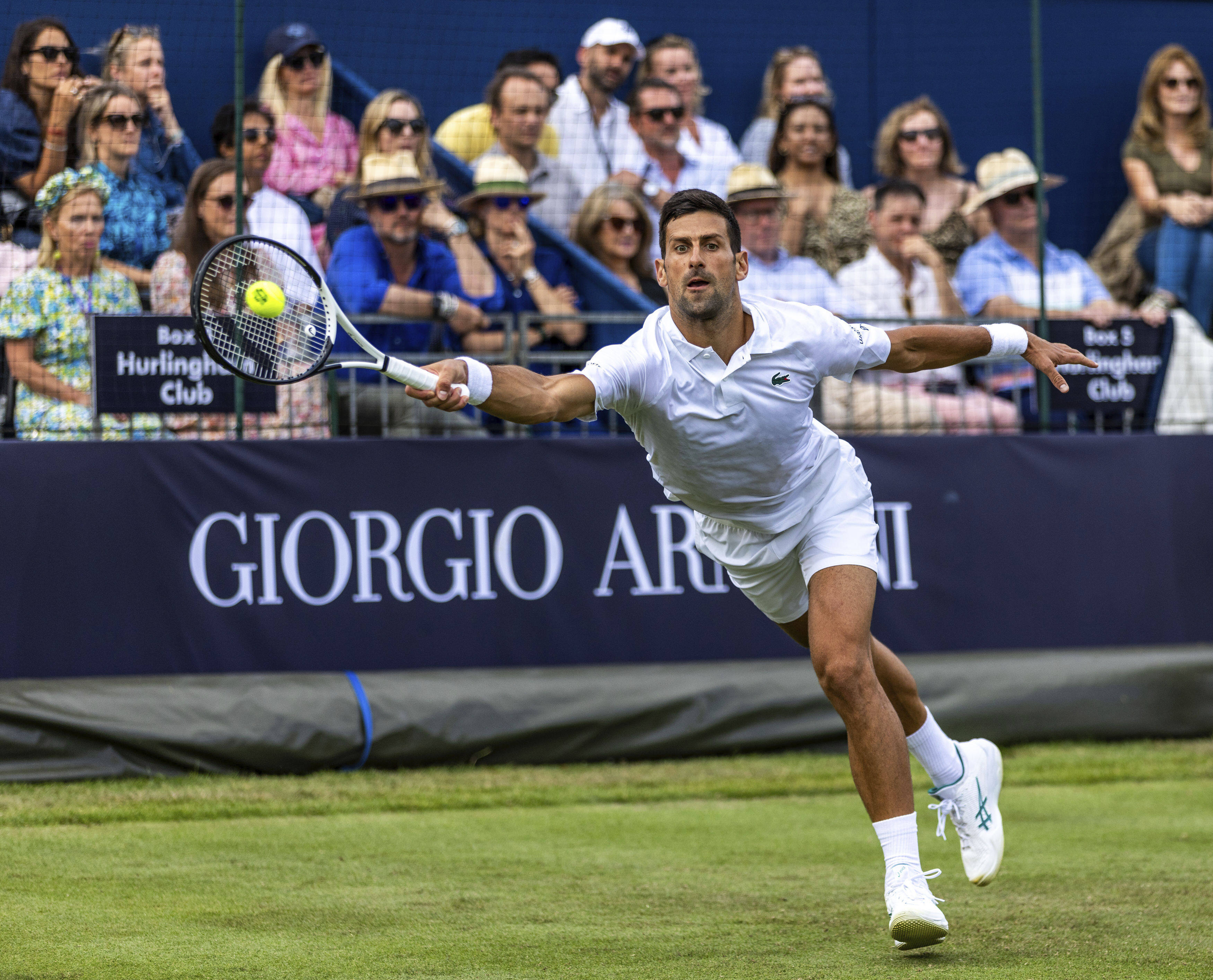 Novak Djokovic will target an eighth Wimbledon crown when the tournament starts on Monday. Photo: AP
