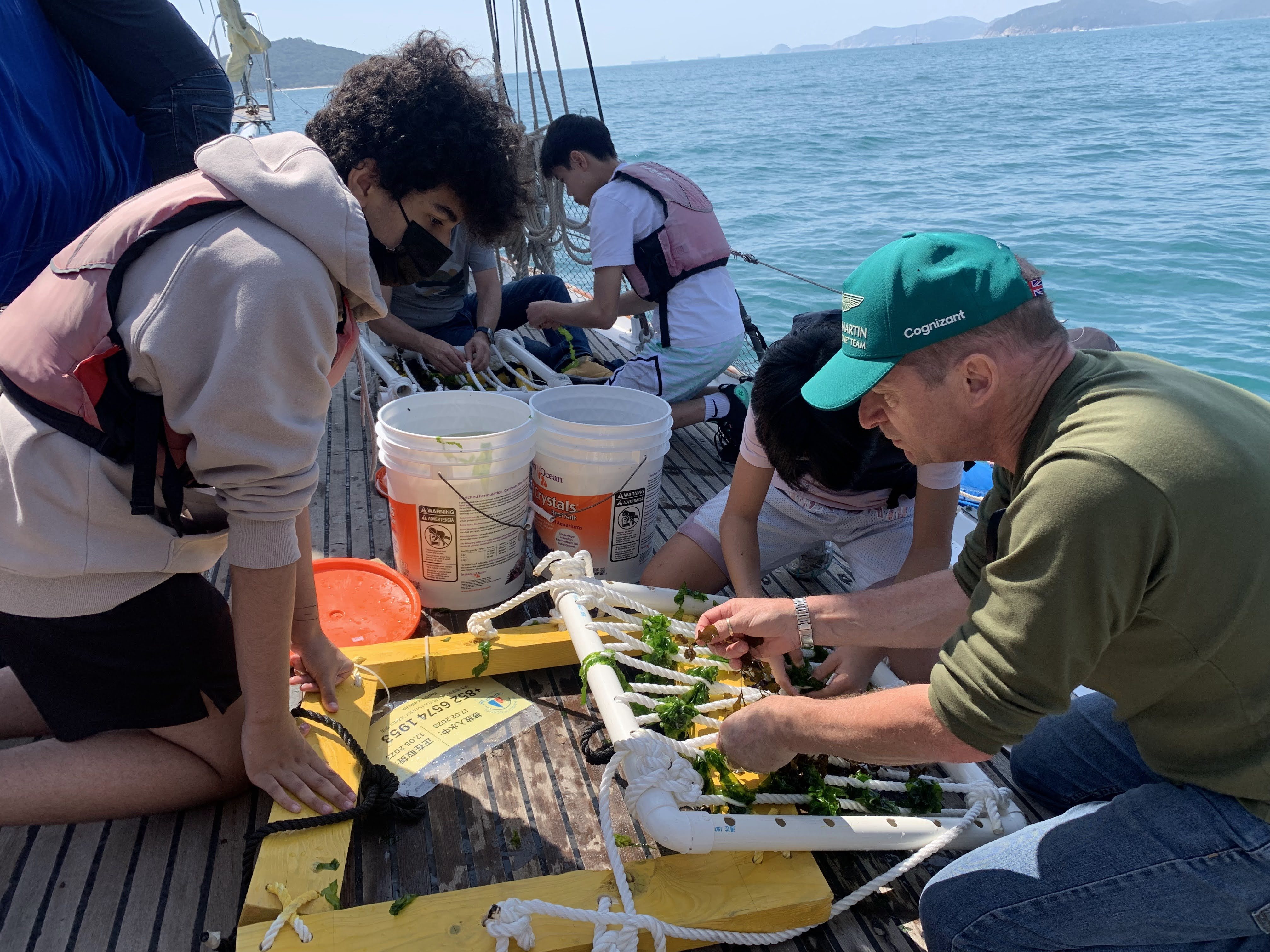 Hong Kong students get hands-on experience with making an impact on the environment through The Harbour School’s seaweed farms. Photo: Handout 