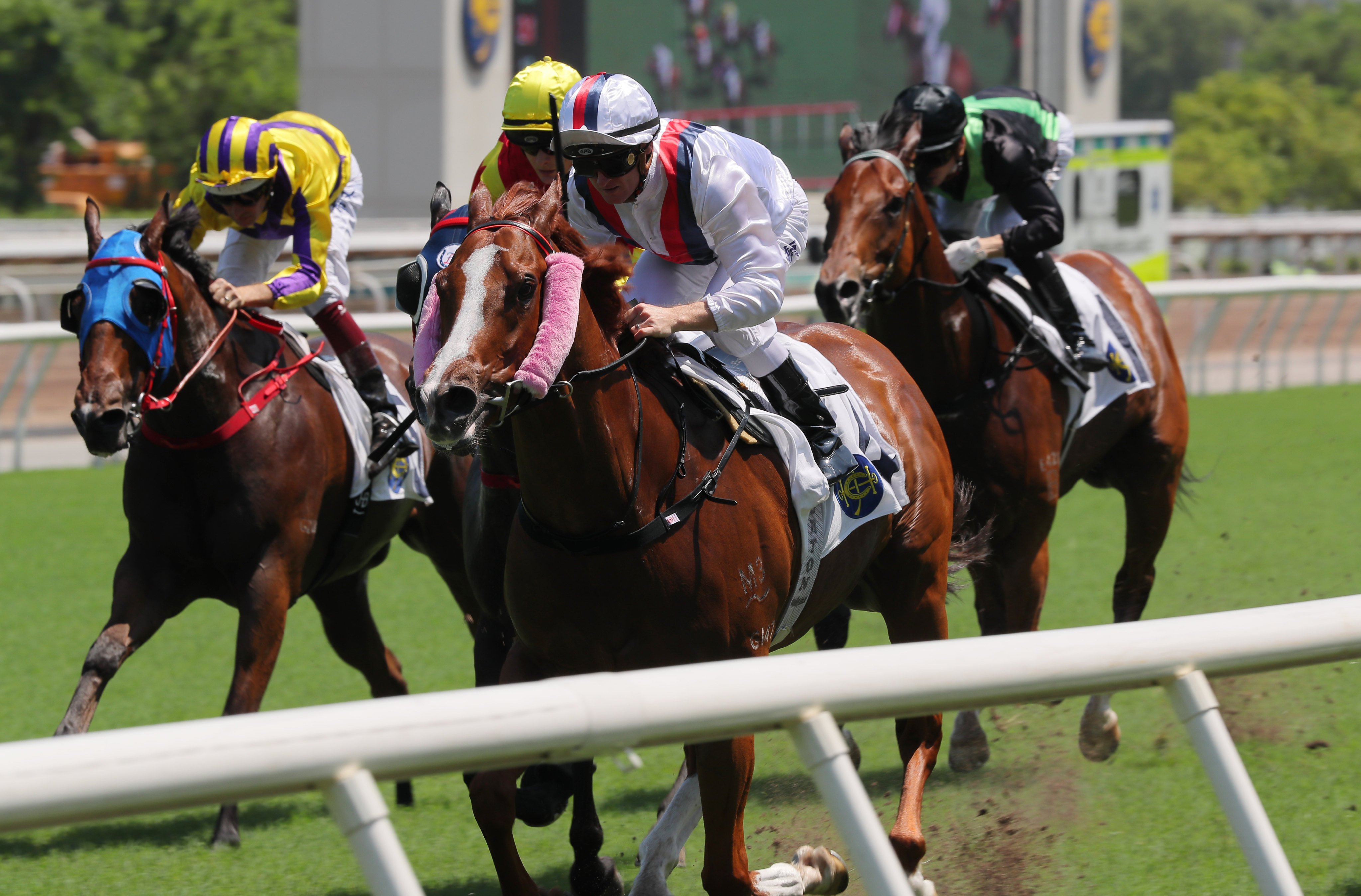 Zac Purton steers Stoltz to victory in a Class Two sprint over 1,000m at Sha Tin on May 28. Photo: Kenneth Chan