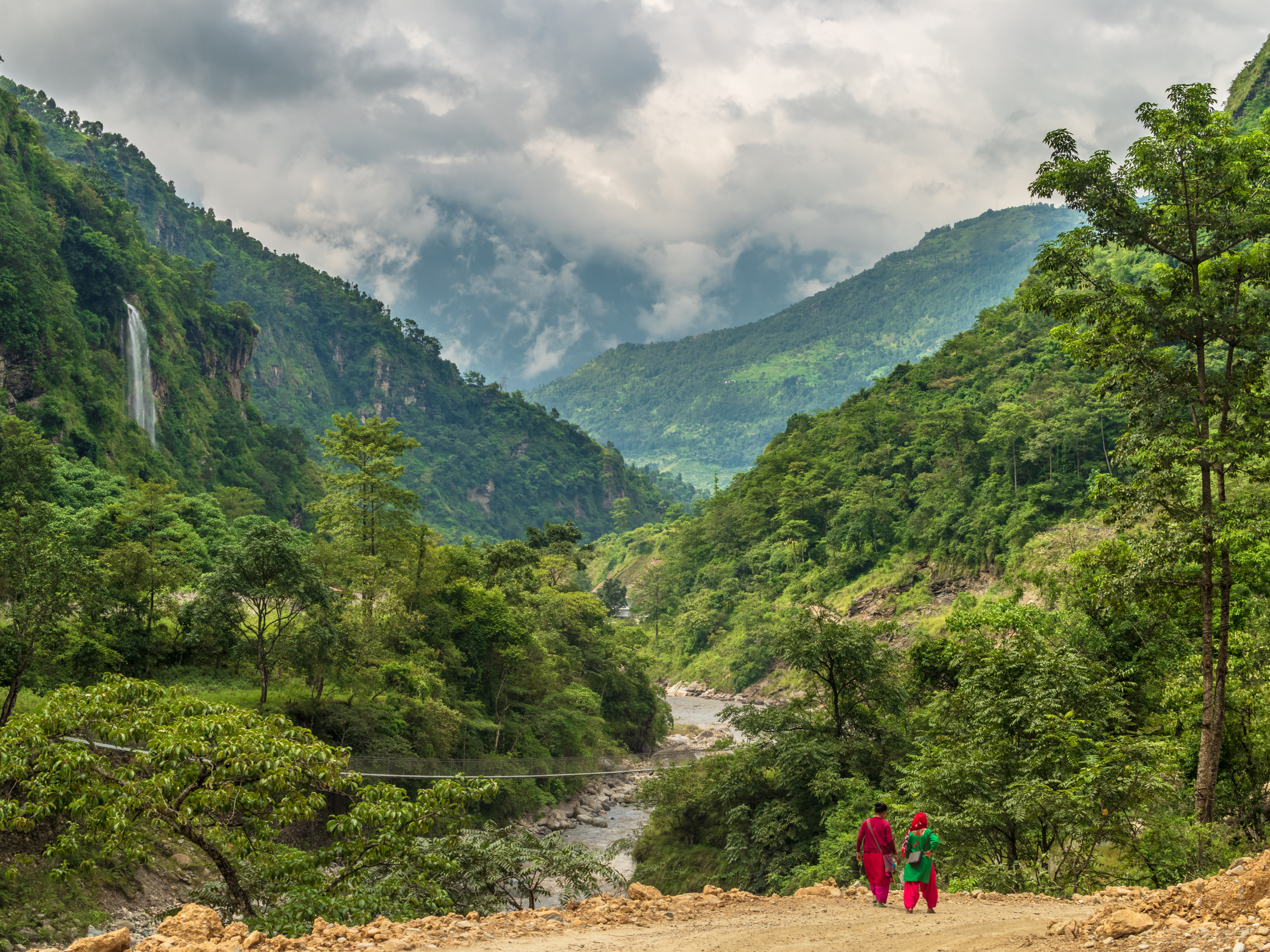 With tropical and temperate forests covering about 40 per cent of the Himalayan nation, the health of its trees is key to Nepal’s prosperity and its roughly 29 million people. Photo: Shutterstock