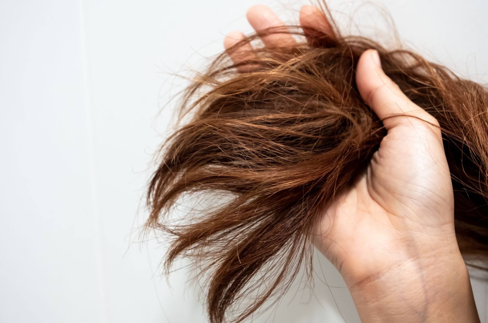 How to use heat best sale on hair without damaging it