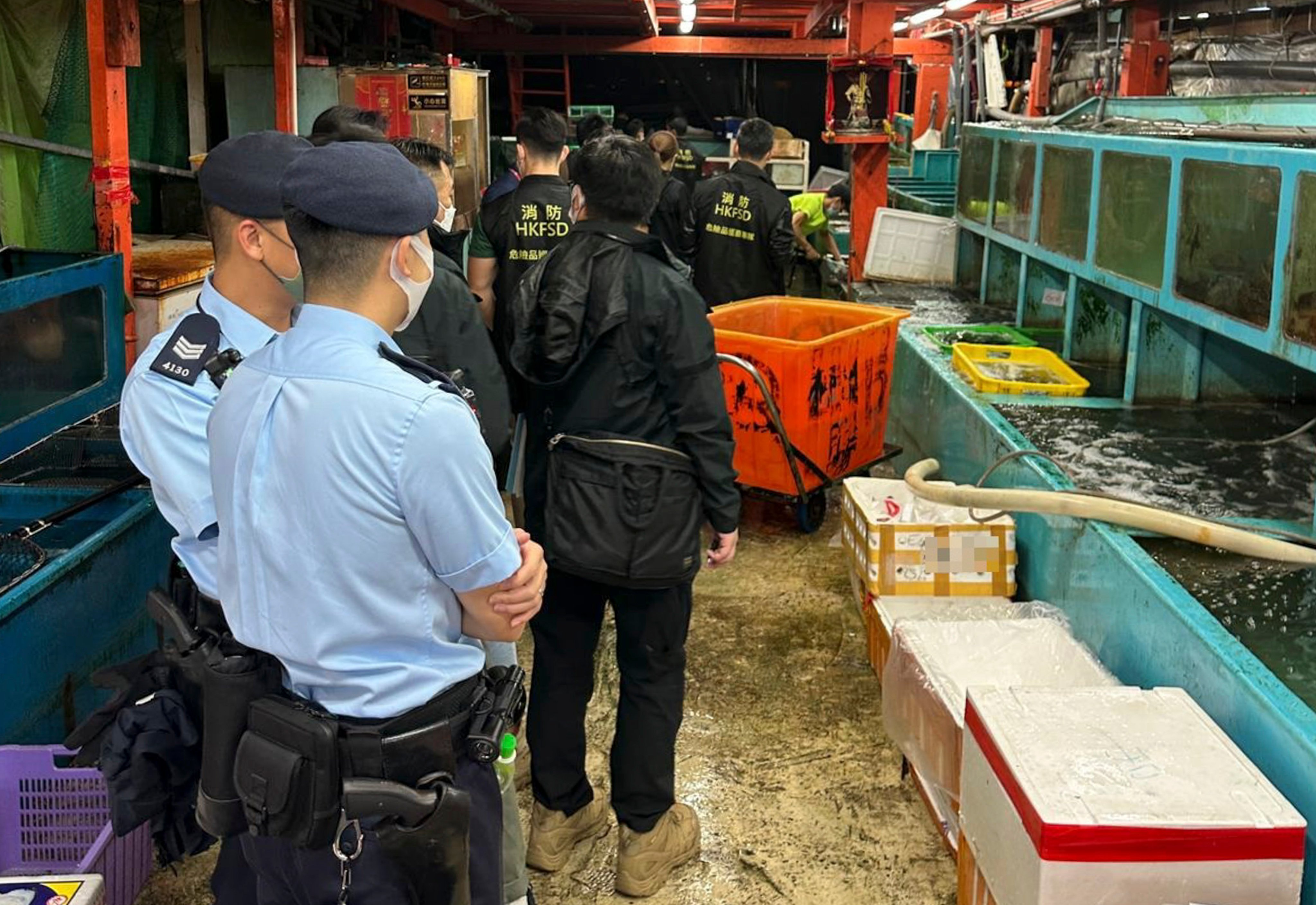 The Competition Commission said it sought information and surveyed workers from more than 30 wholesalers at the Aberdeen Wholesale Fish Market while investigating possible cartel behaviour among wholesalers last November. Photo: Handout