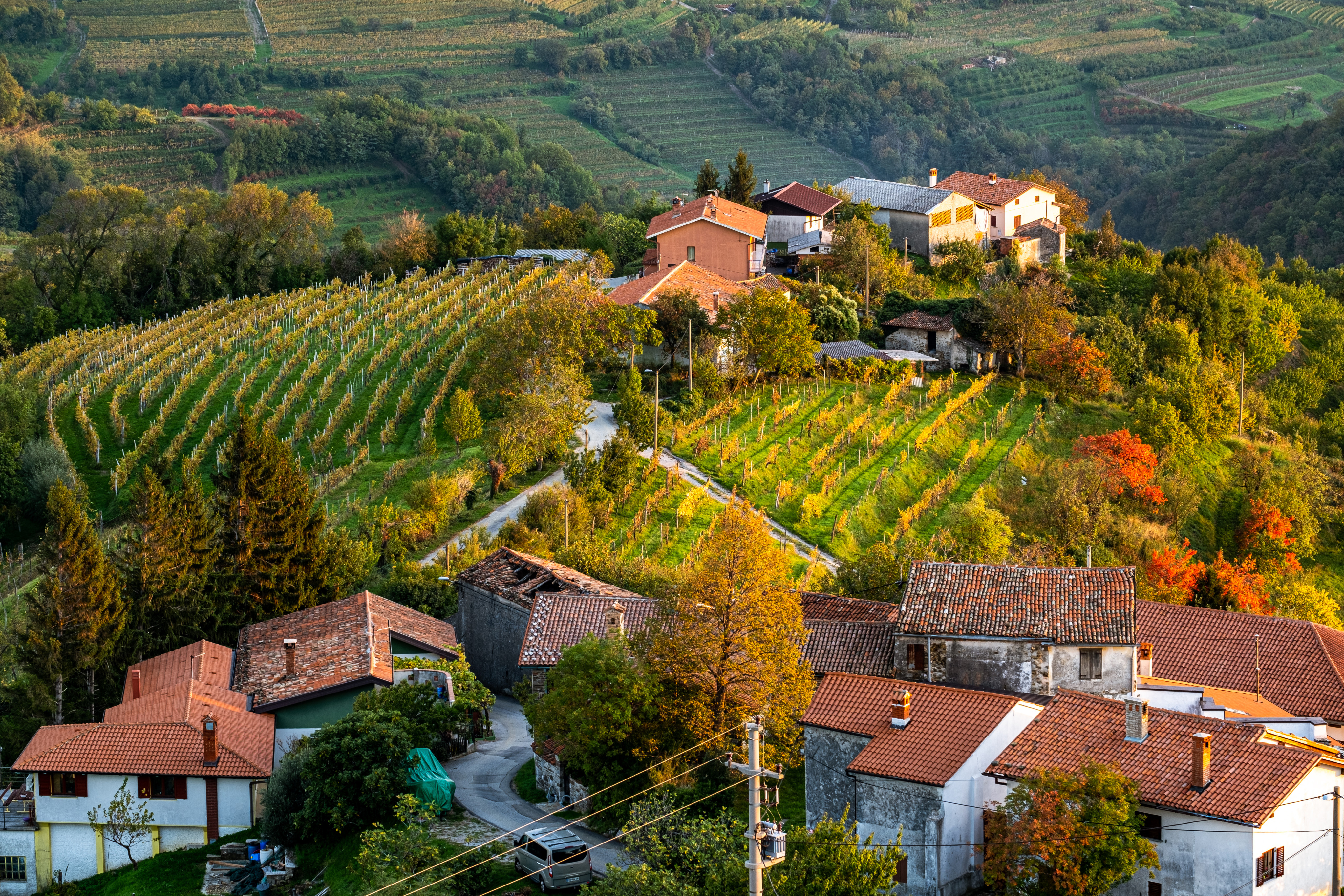 Smartno village in Goriska Brda, a famous wine region of Slovenia located near Italy. Photo:  Shutterstock