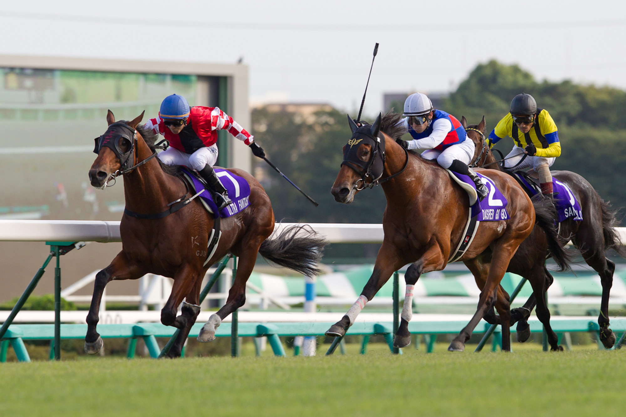 Alex Lai and Ultra Fantasy (left) win the 2010 Sprinters Stakes in Japan.