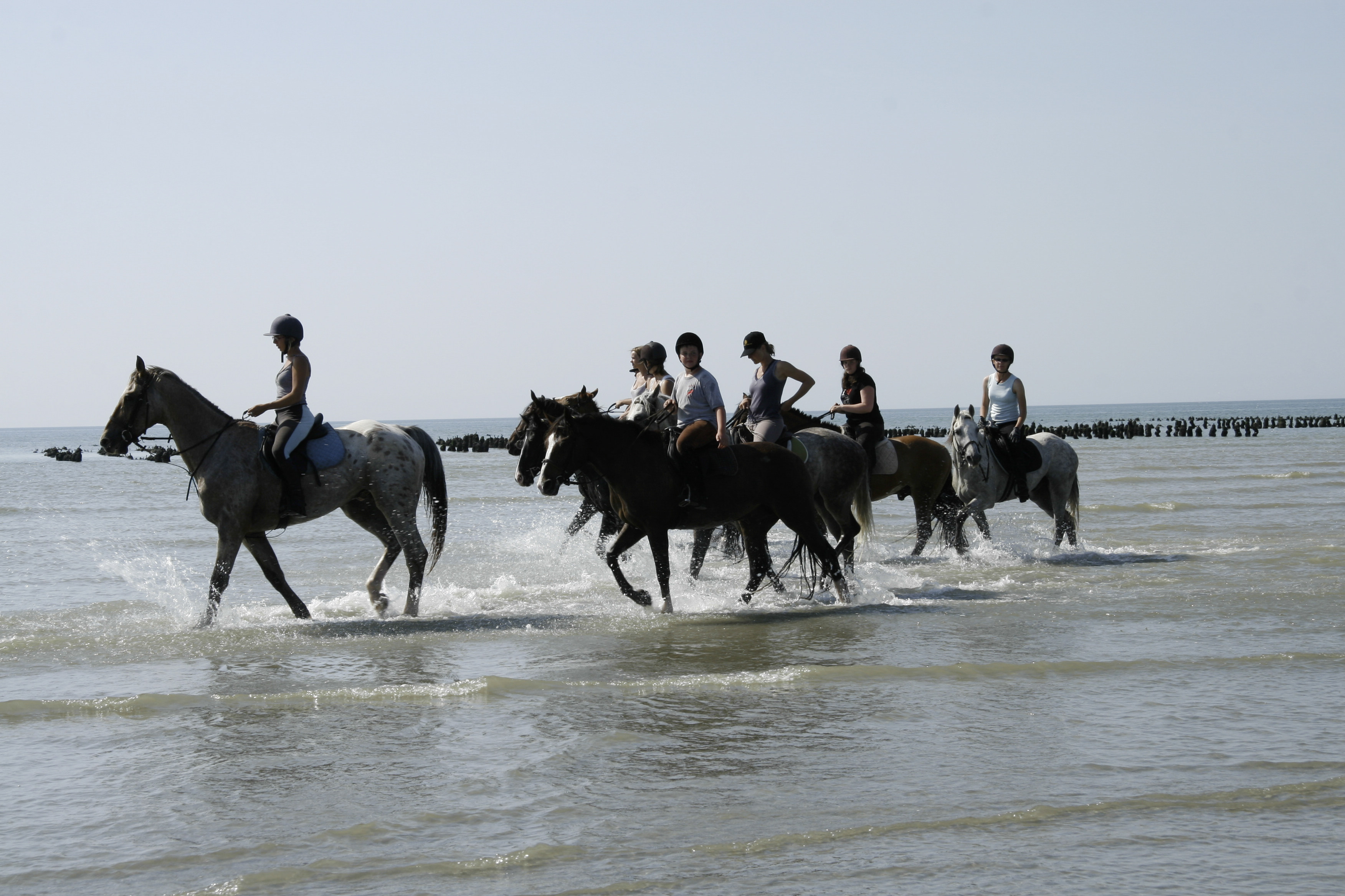 An early morning horseback ride through the bay of the Somme is a typical activity in the French region famed for its World War I battle. Photo: John Brunton