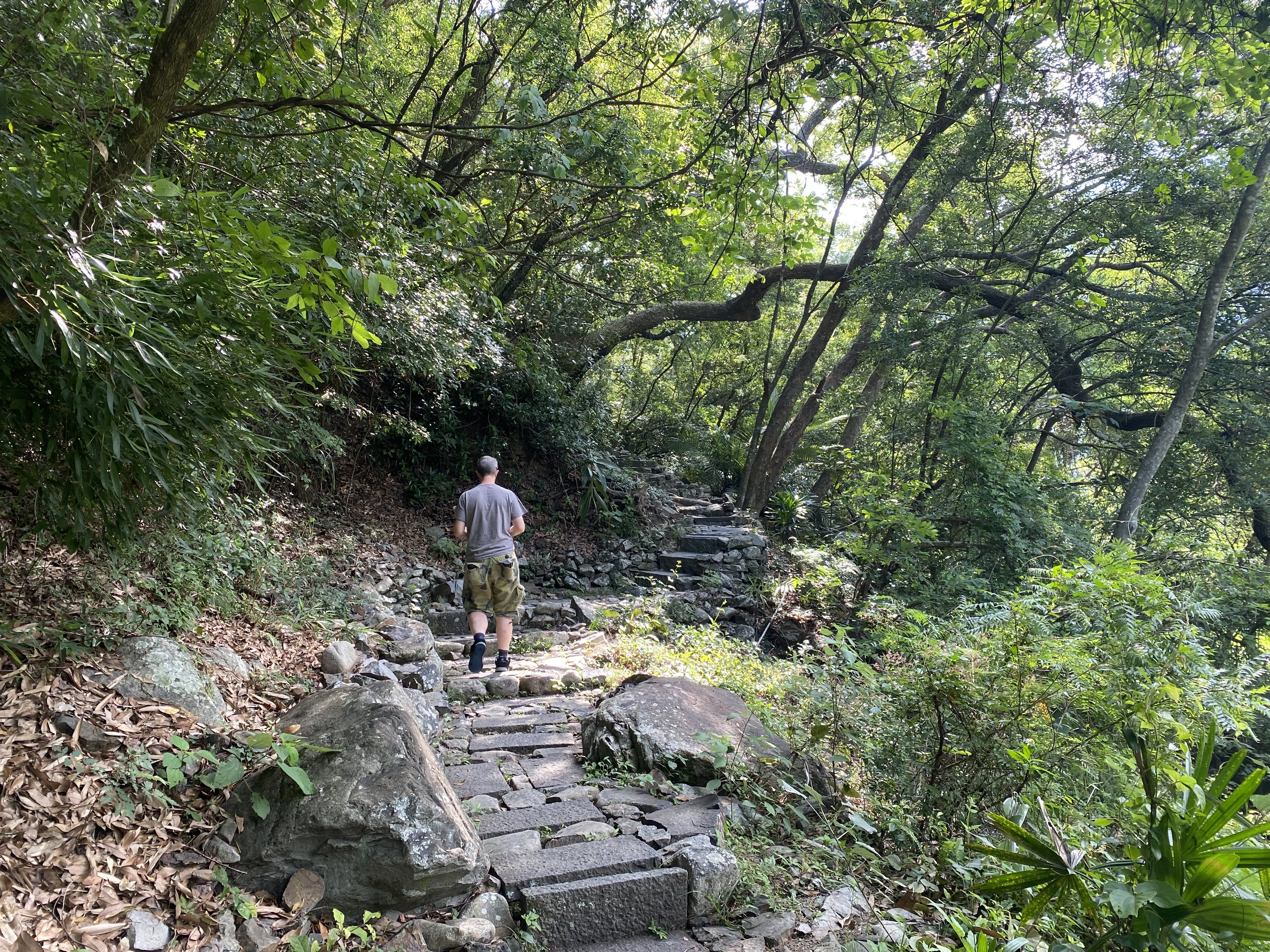 A hiker walks along the Guguan hiking trail in Taiwan. Photo: Tamara Hinson