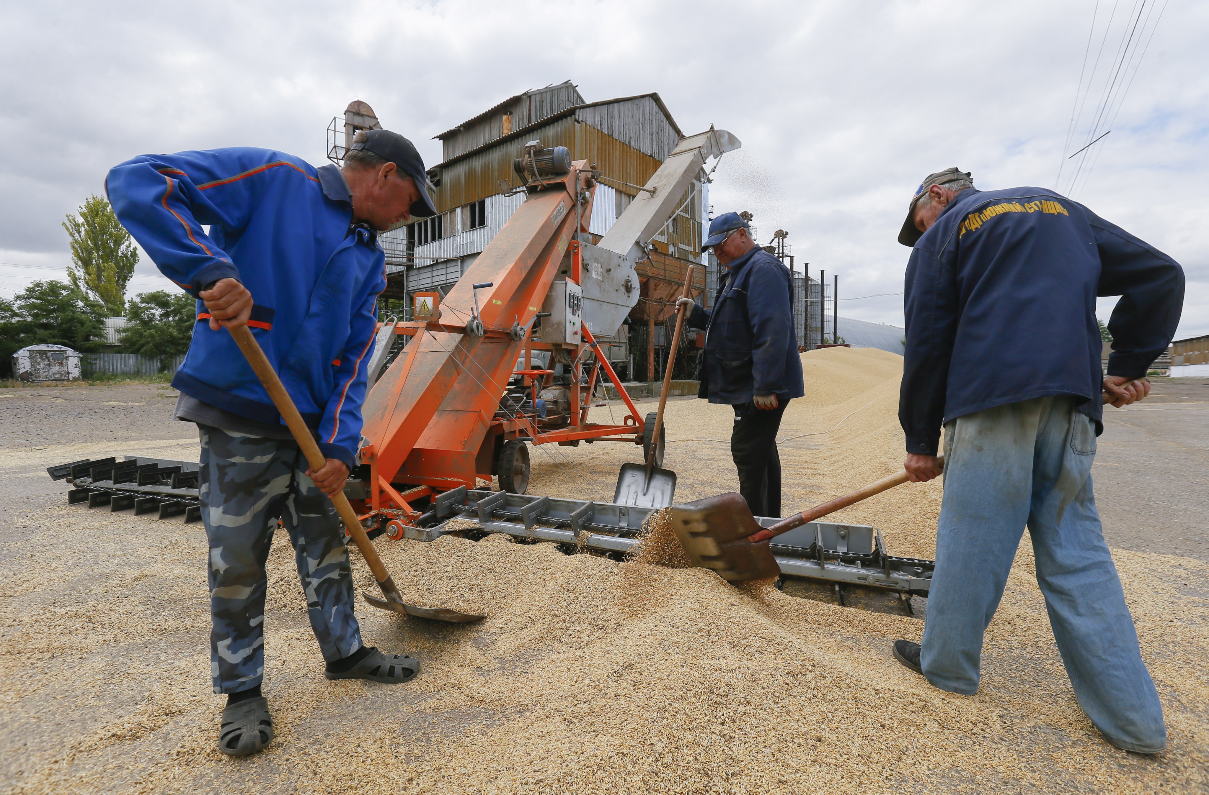 Ukrainian farmers mix grain of barley and wheat in Odessa. Photo: EPA-EFE/STR